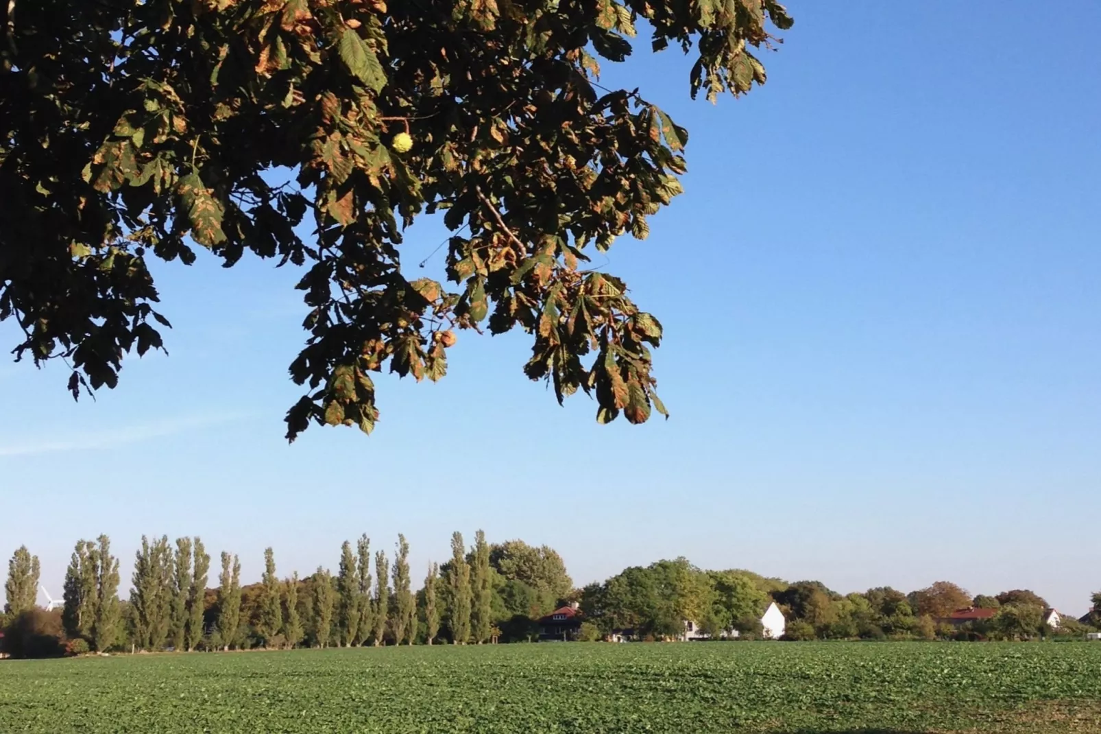 Familienurlaub im Grünen 4-Uitzicht zomer