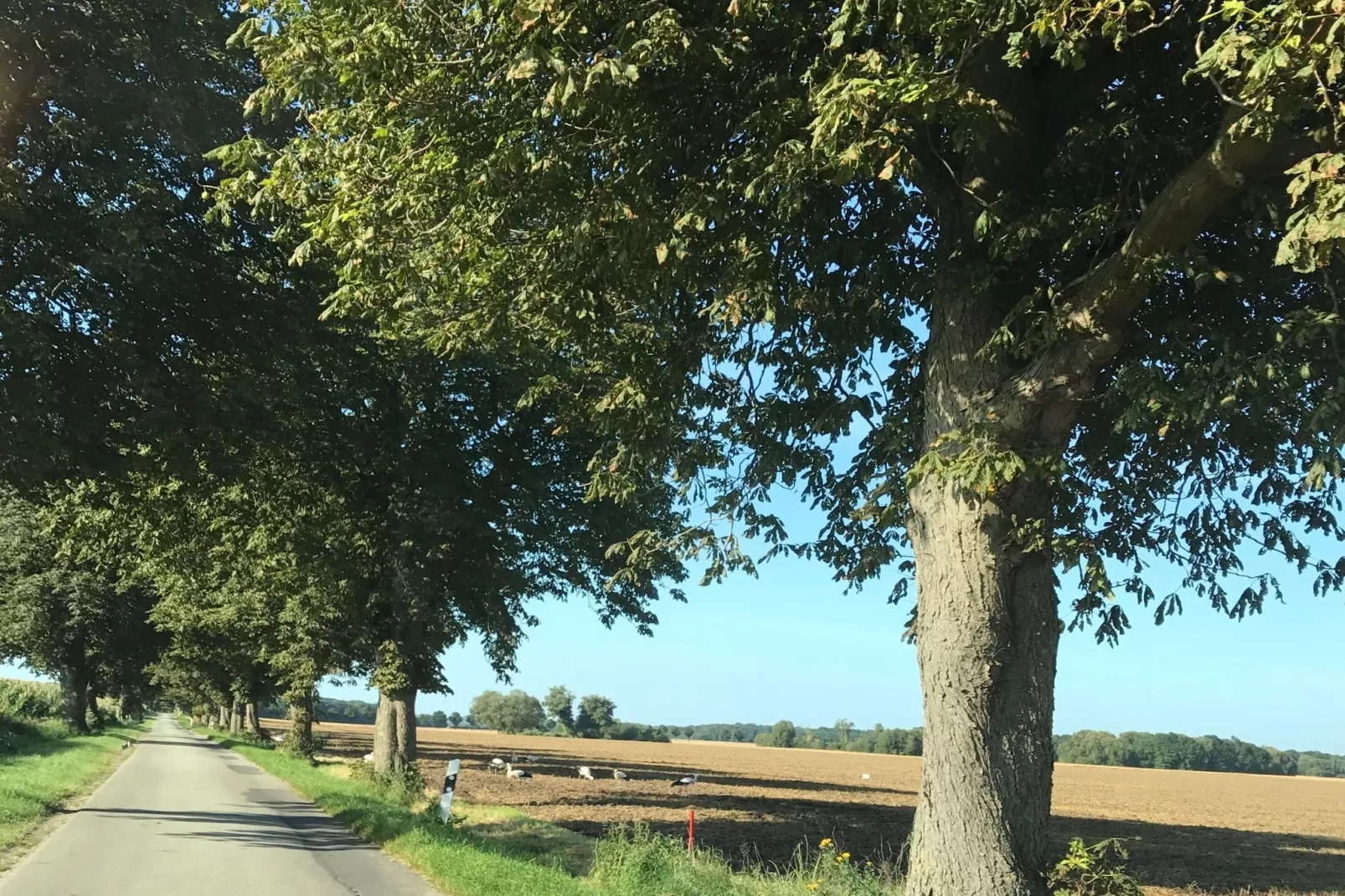 5-Raum-Familienwohnung 5-Gebieden zomer 1km