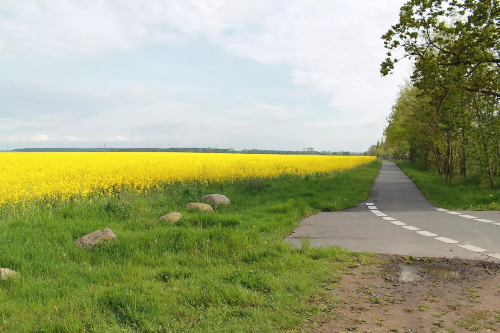 Ferienhaus Heidenholz-Gebieden zomer 5km