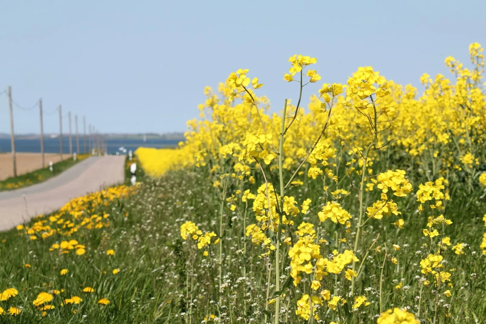 Ferienzimmer im Birkenweg-Gebieden zomer 1km