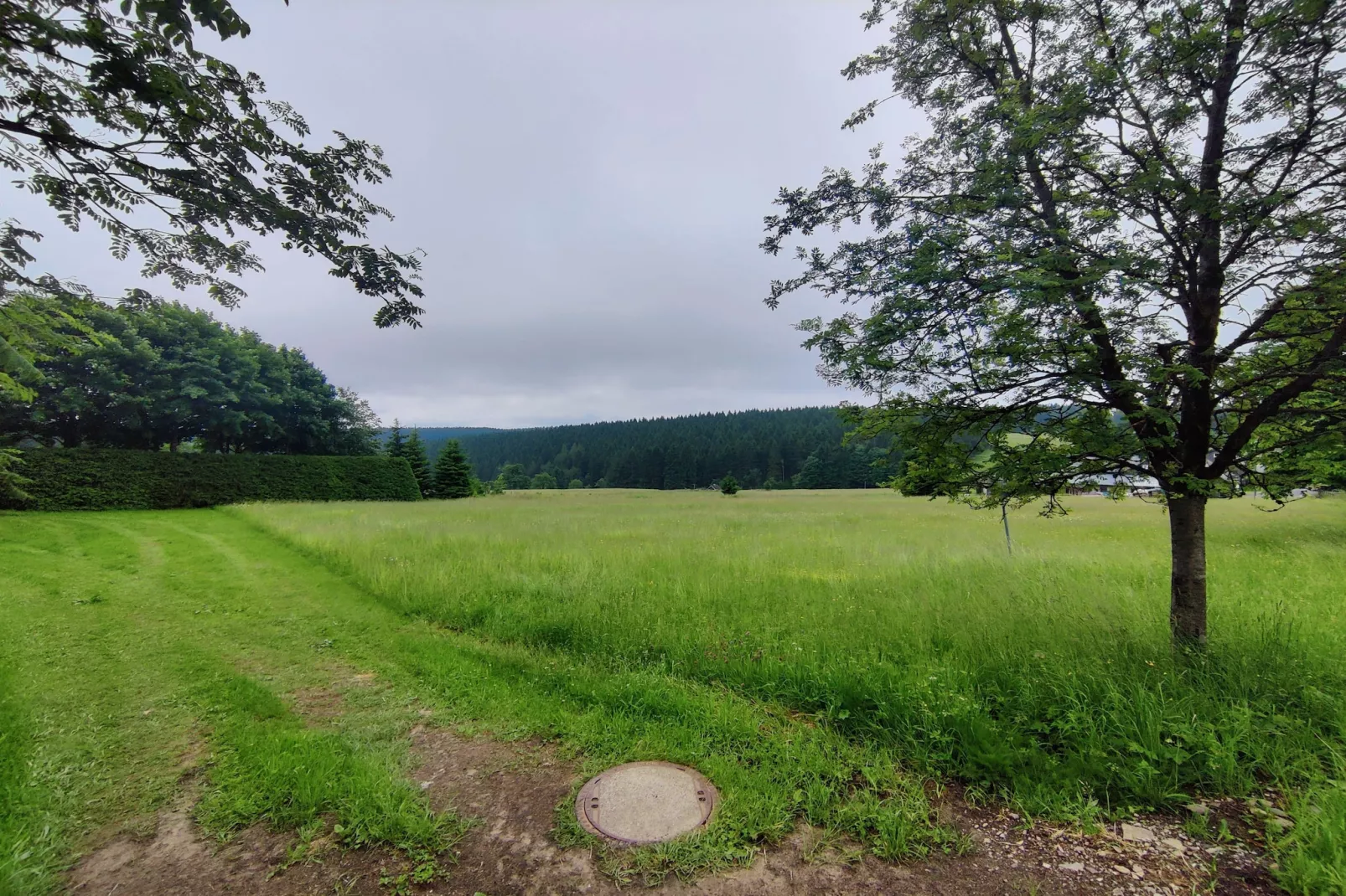 Blessberg-Gebieden zomer 20km