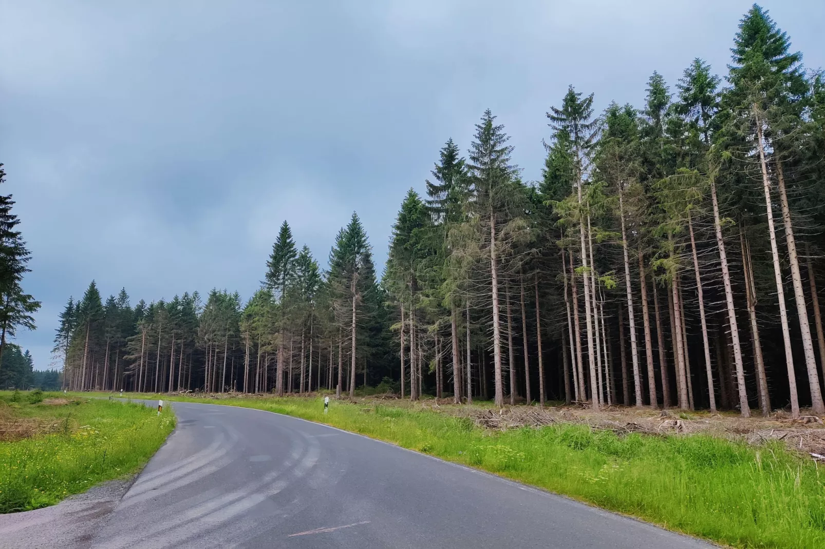 Blessberg-Gebieden zomer 20km