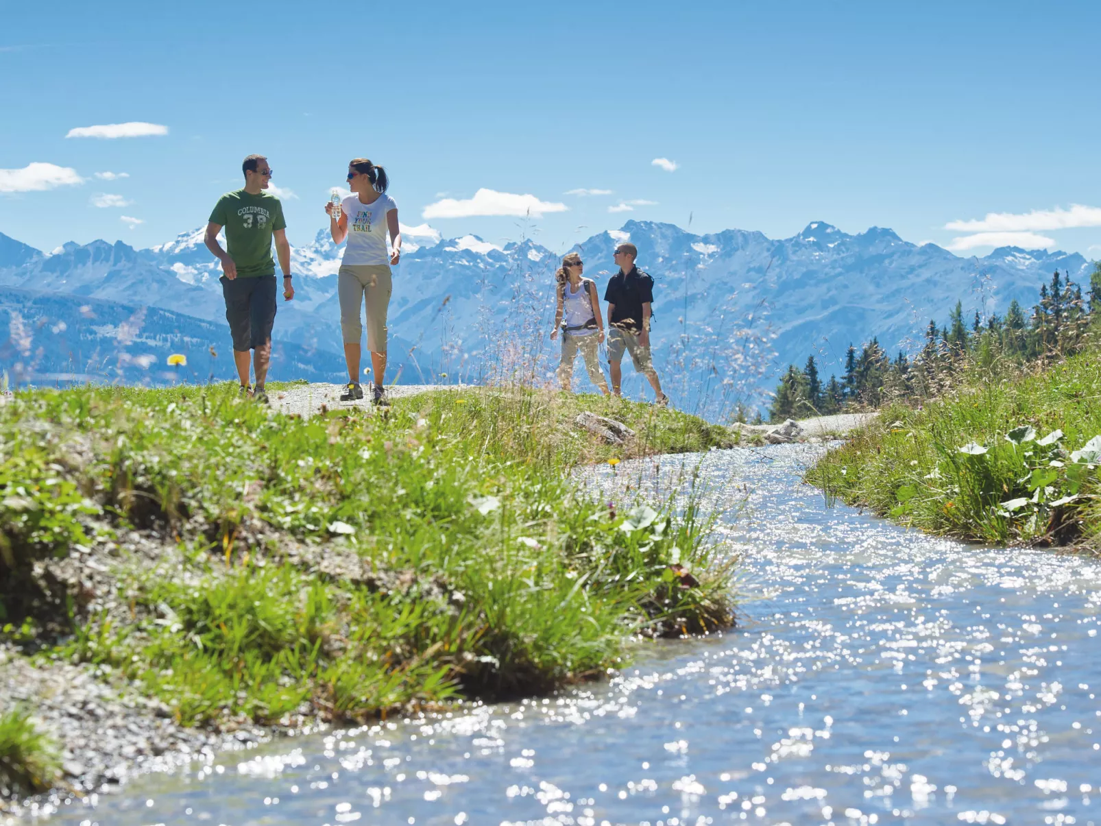 Terrasse des Alpes-Omgeving