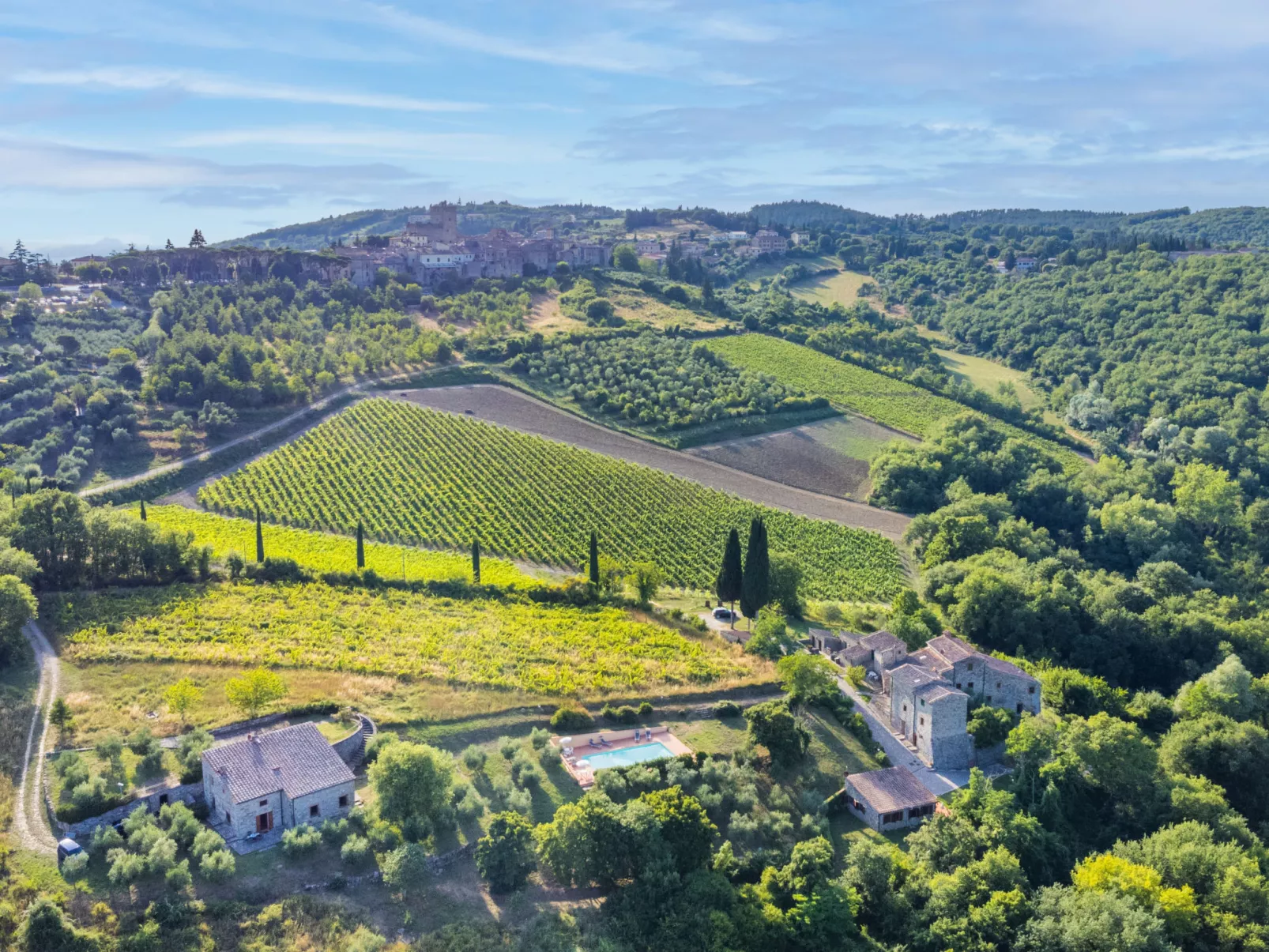 Cerretino Vigna-Buiten