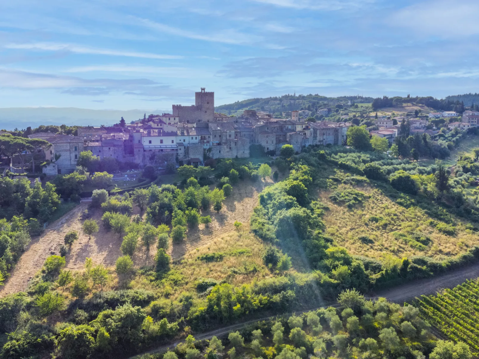 Cerretino Vigna-Buiten