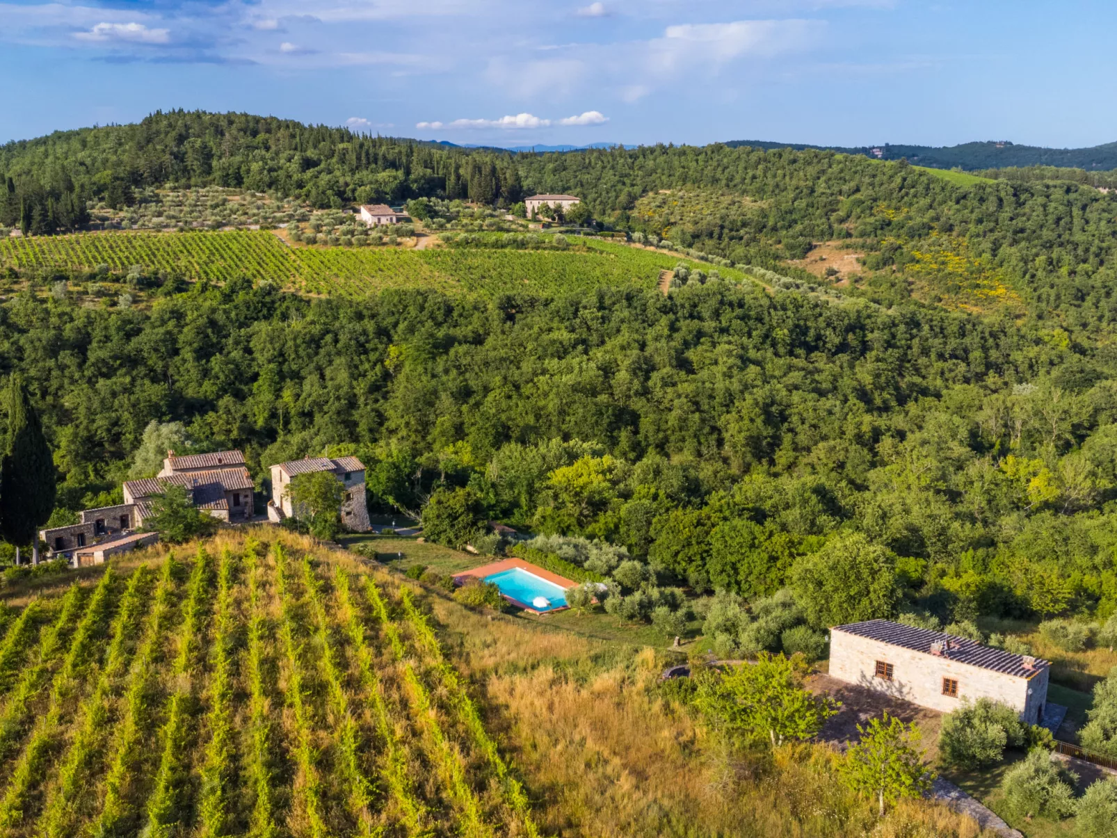 Cerretino Vigna-Buiten