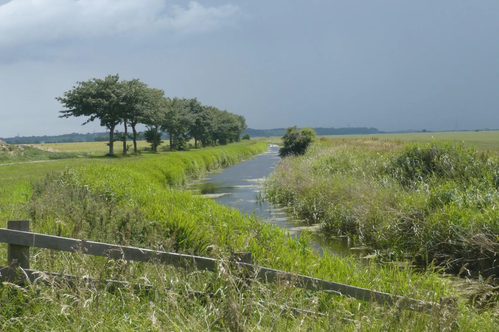 Rainbow Petty-Gebieden zomer 5km