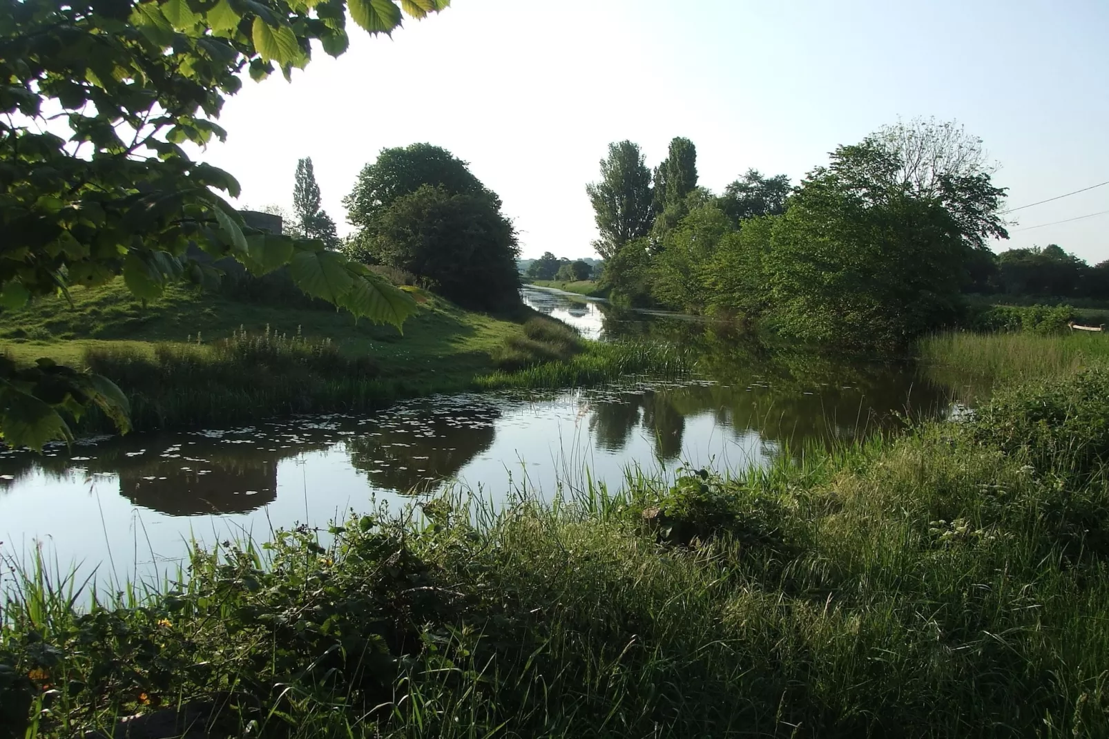 Rainbow Petty-Gebieden zomer 20km