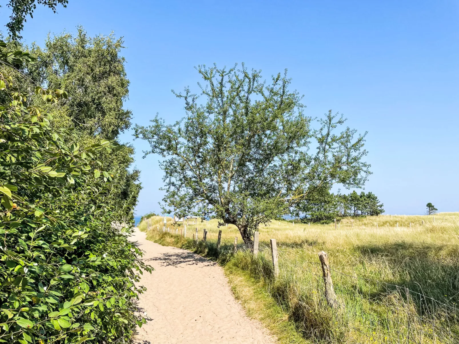 Ostseeblick-Buiten