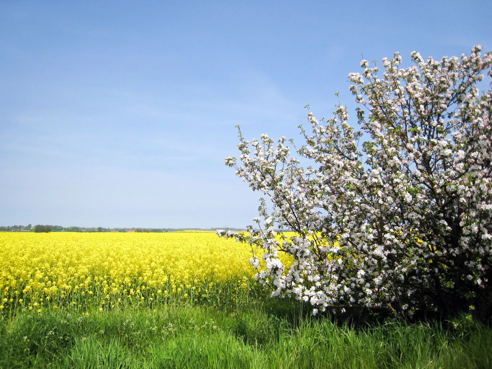 Ostseeblick-Omgeving