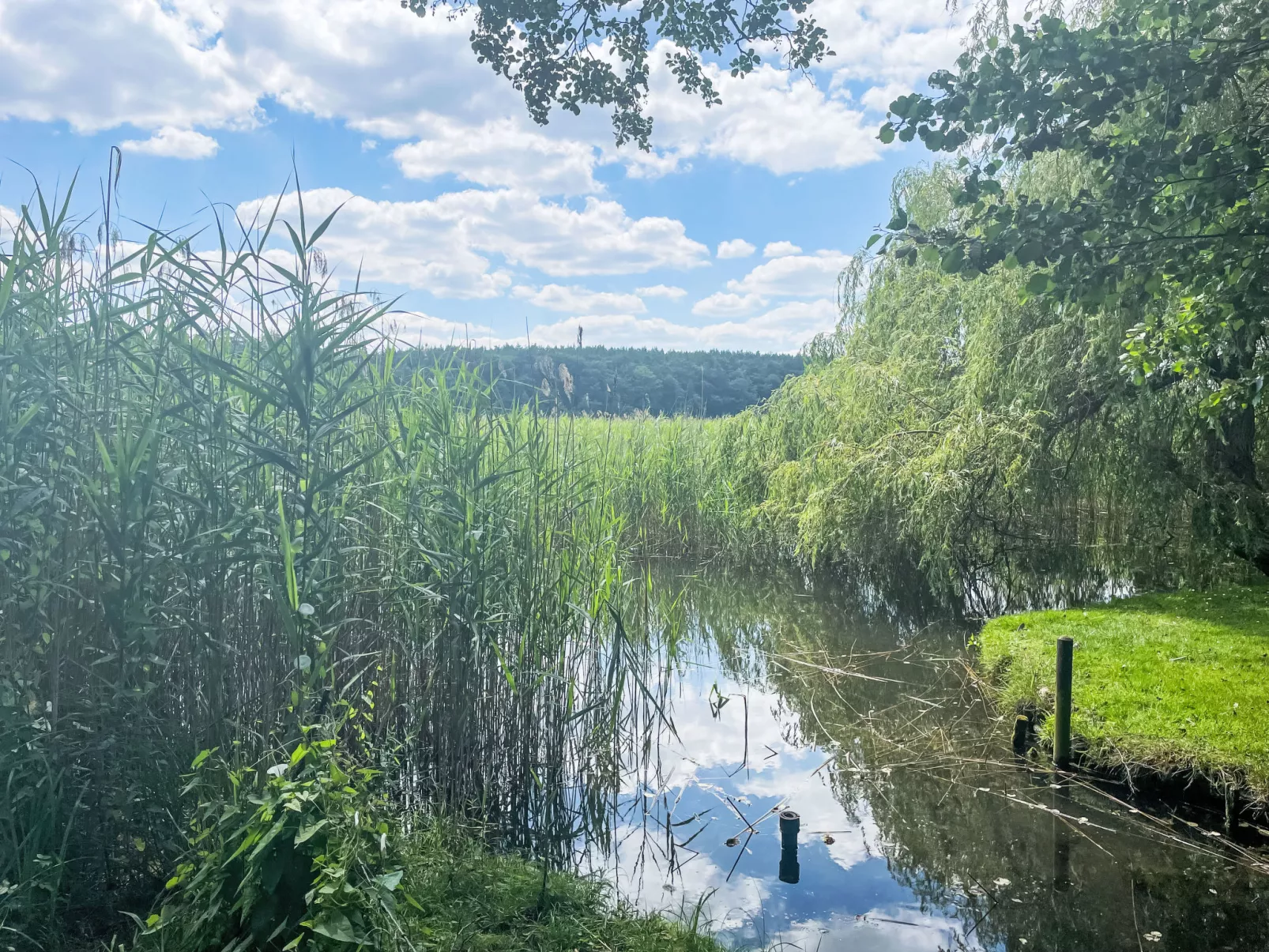 Am Pälitzsee-Buiten