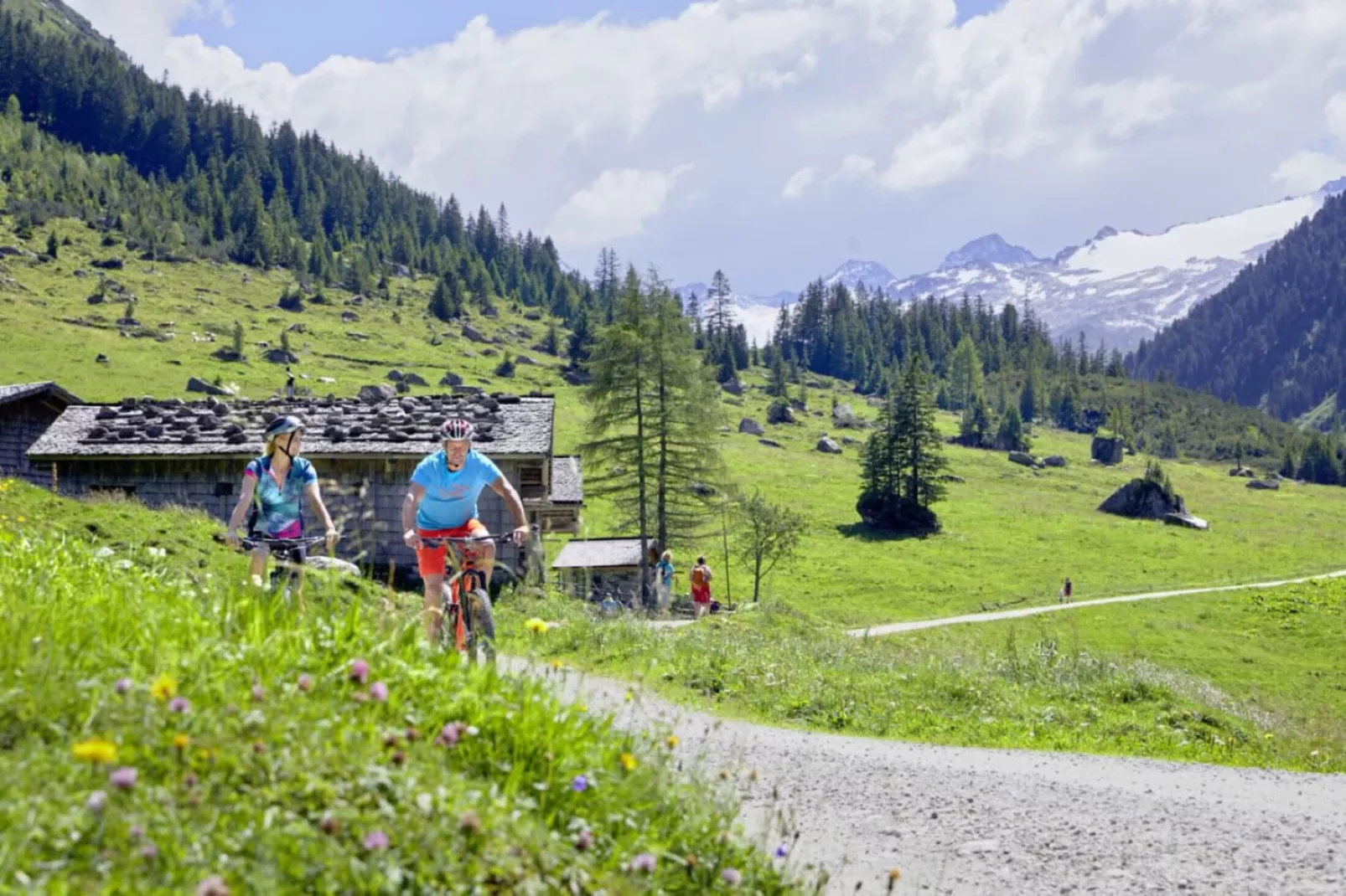 Bergresort Tauernblick 4-Gebieden zomer 20km