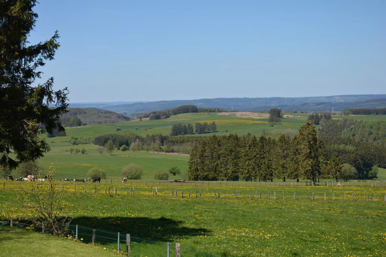 Le Chalet du Coteau-Uitzicht zomer