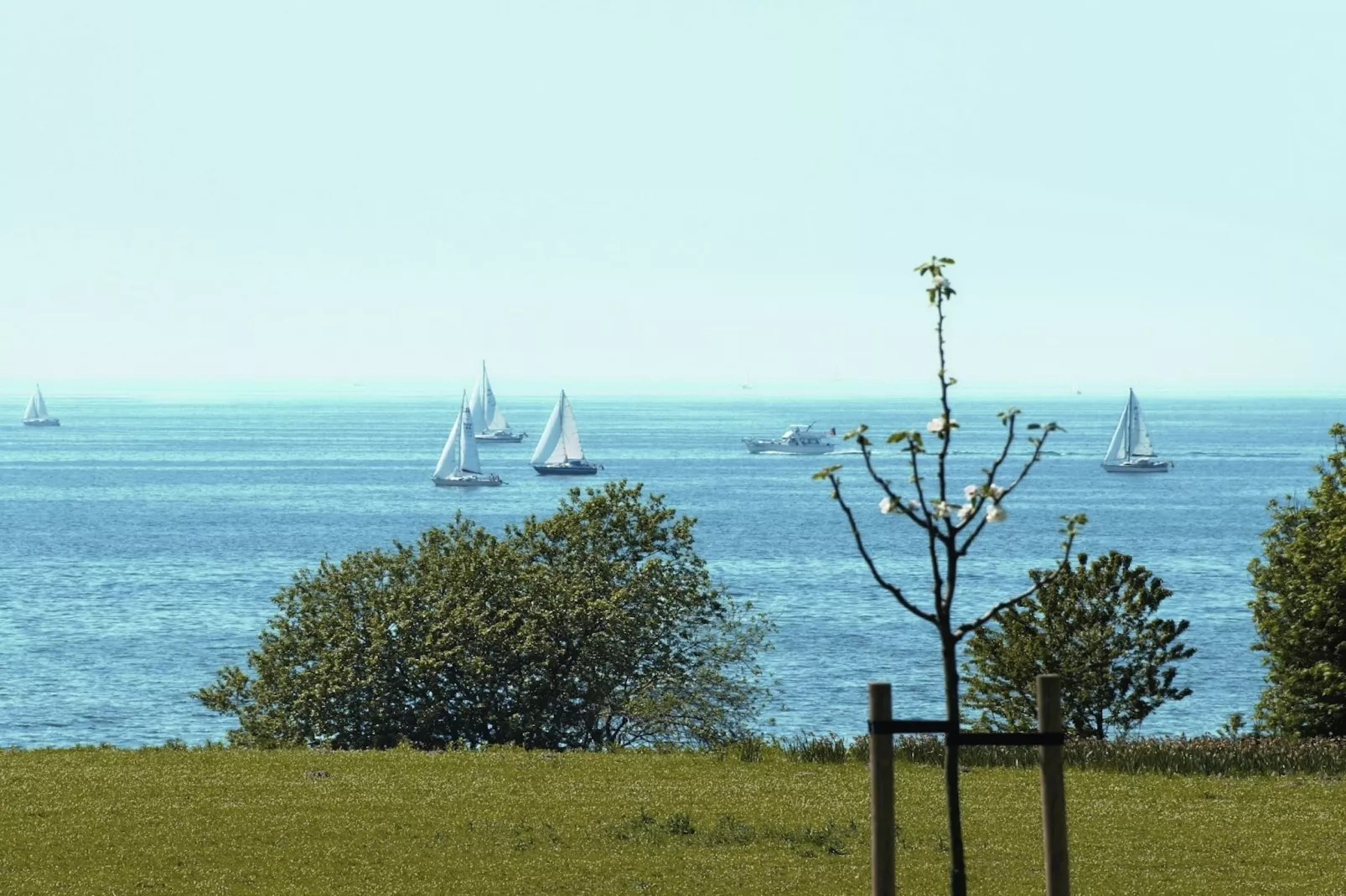 Bospark Markelo 5-Gebieden zomer 5km