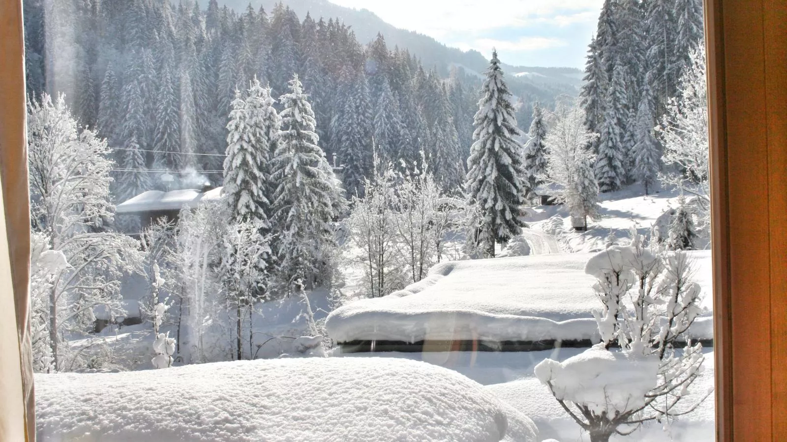 Chalet im Wald-Uitzicht winter