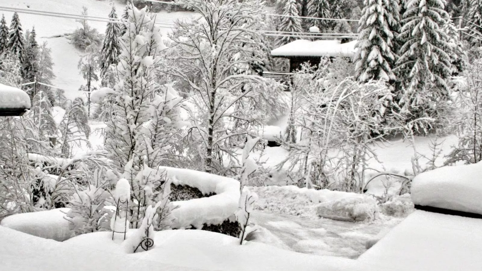 Chalet im Wald-Uitzicht winter