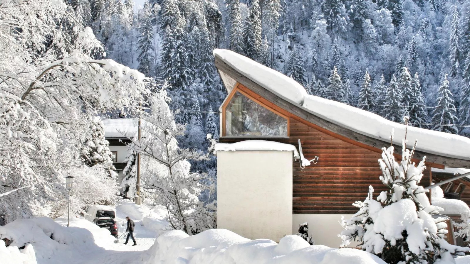 Chalet im Wald-Exterieur winter