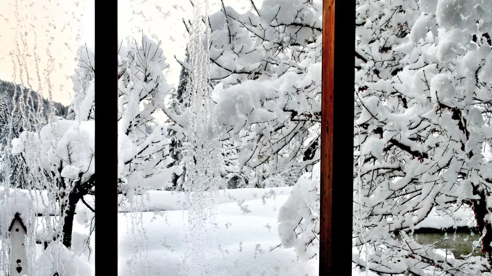 Chalet im Wald-Uitzicht winter