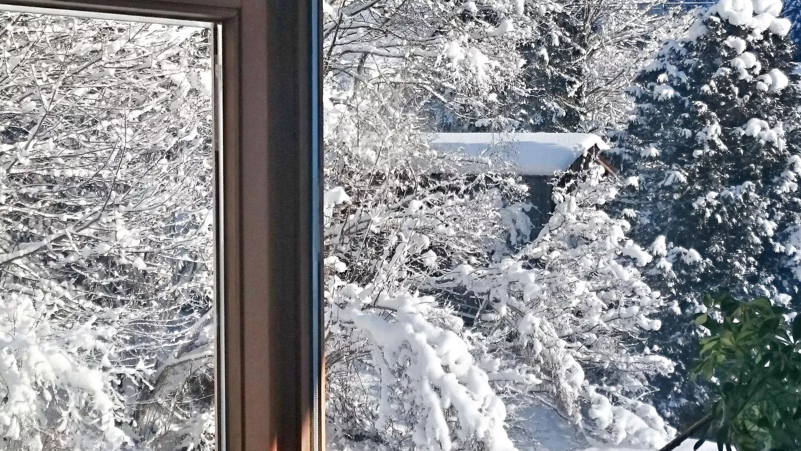 Chalet im Wald-Uitzicht winter