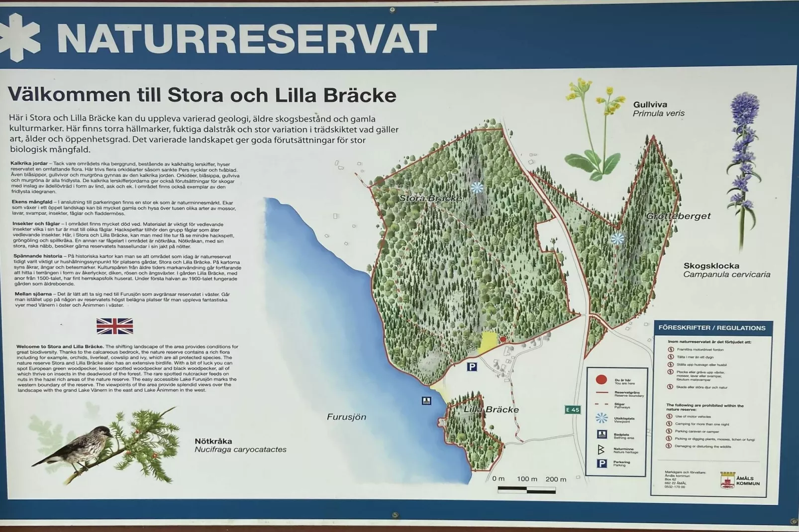 4 Personen vakantie huis in Ånimskog-Buitenlucht