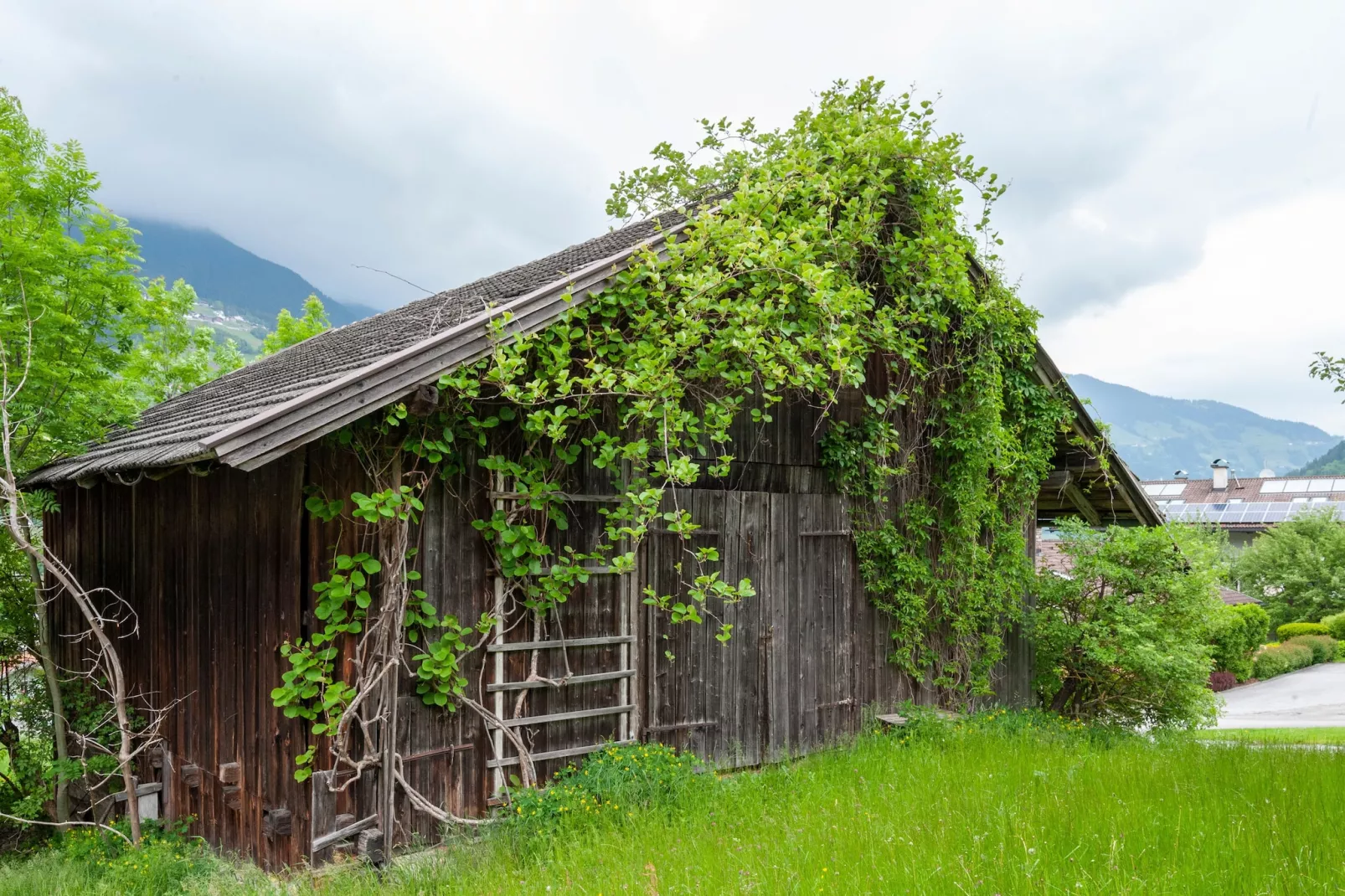 Moiklerhof Wohnung-Tuinen zomer