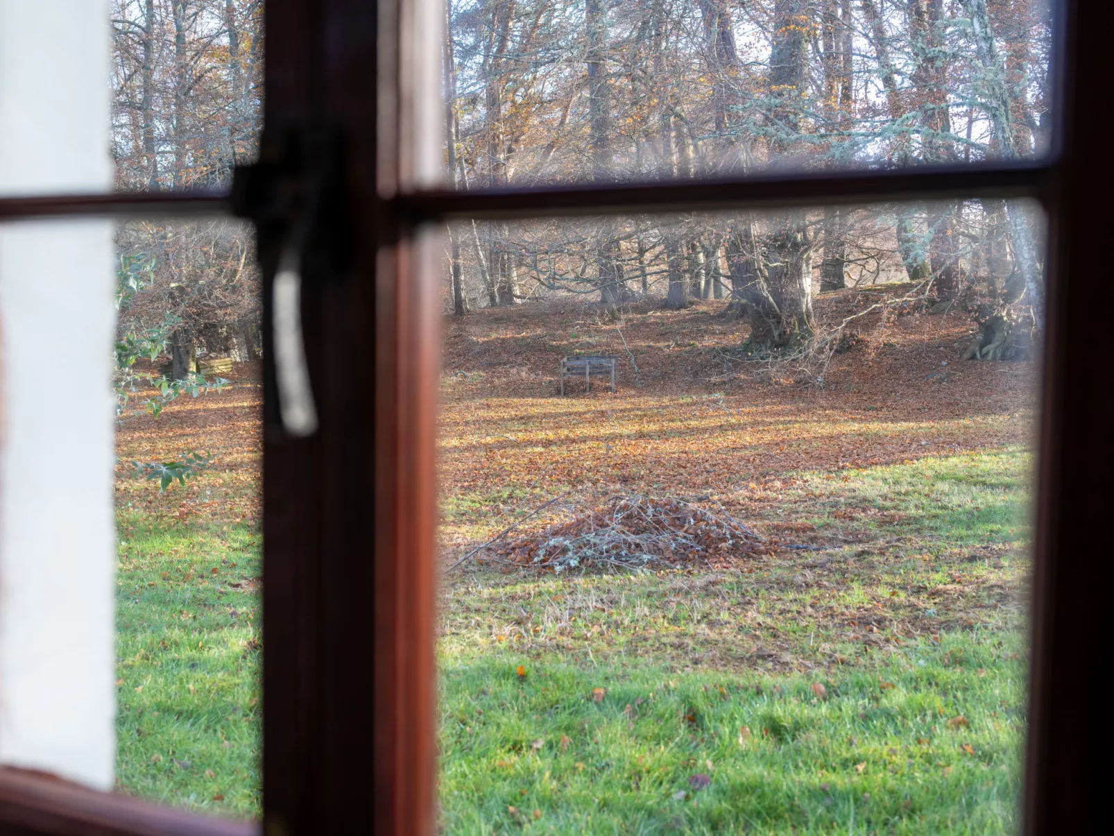 Rose Cottage-Buiten