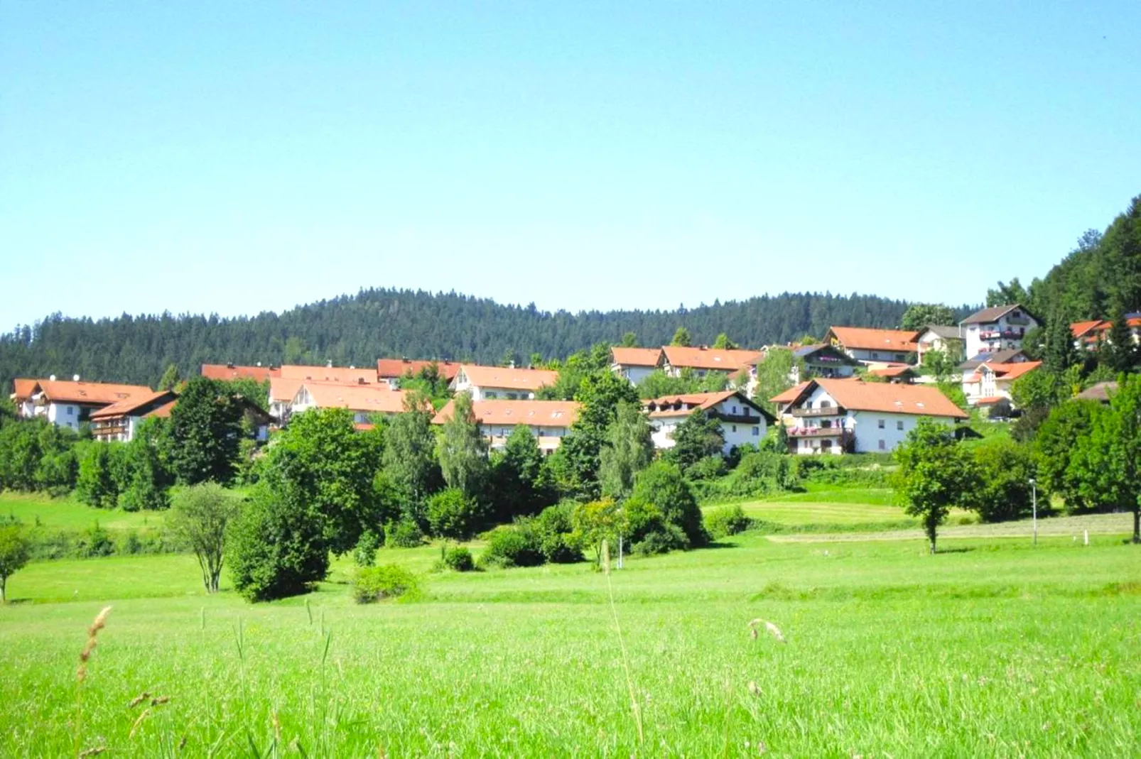 Apartment im Haus Sonntal-Gebieden zomer 1km