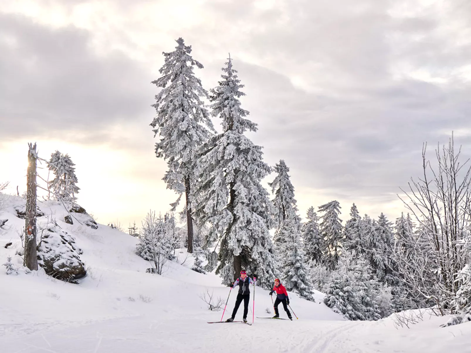 Landhaus LH Rißbachtal-Gebied winter 20km