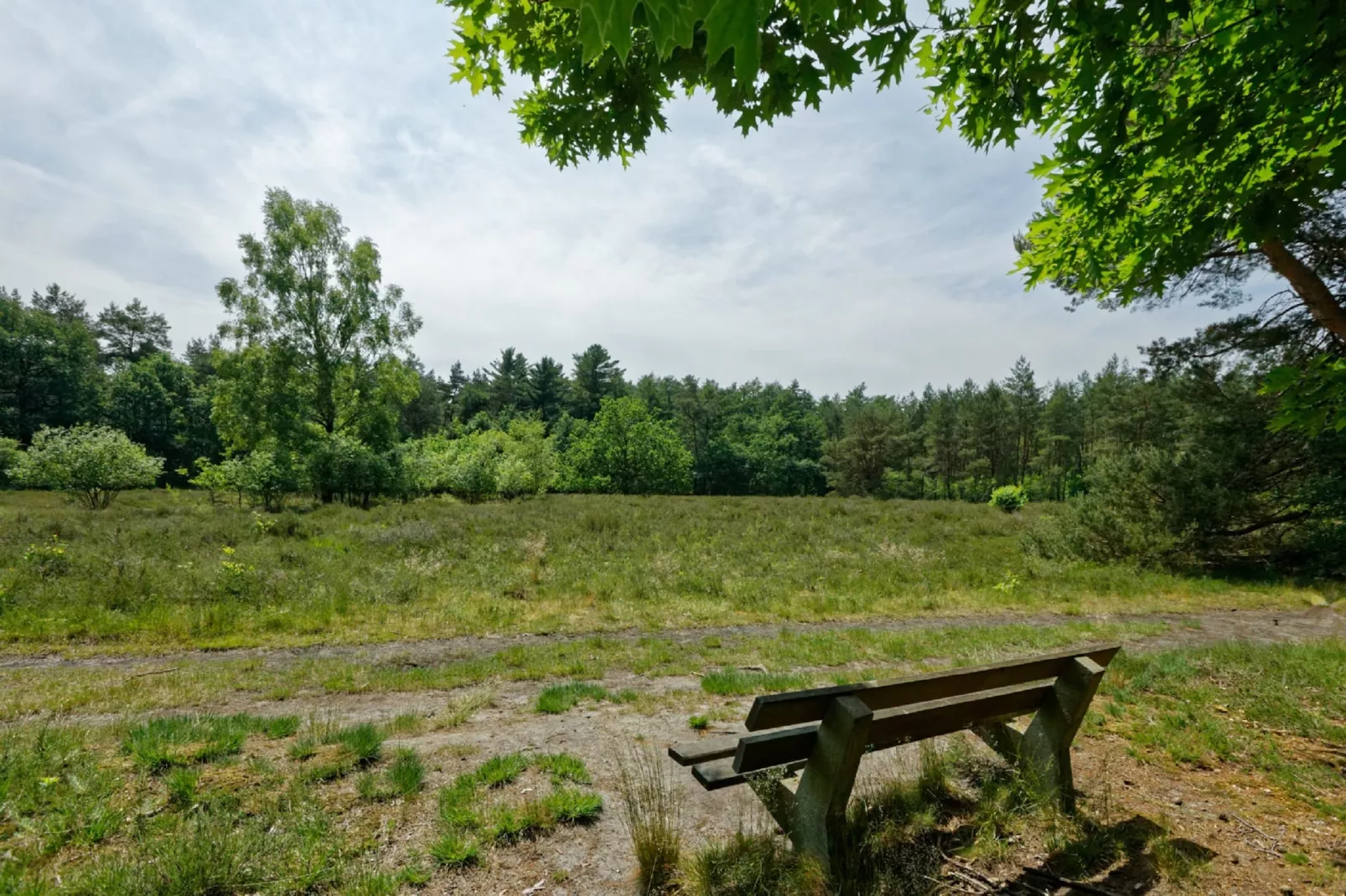 Resort De Achterhoek 2-Gebieden zomer 1km