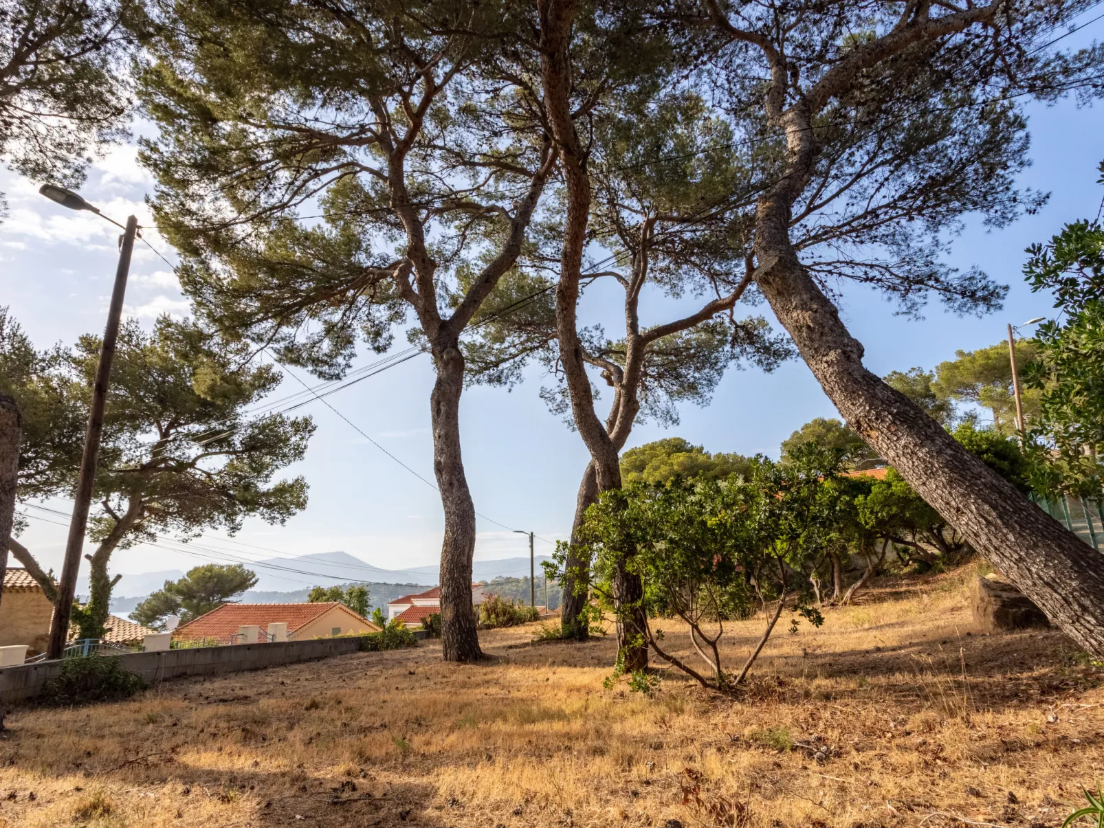 Le Provençal-Buiten