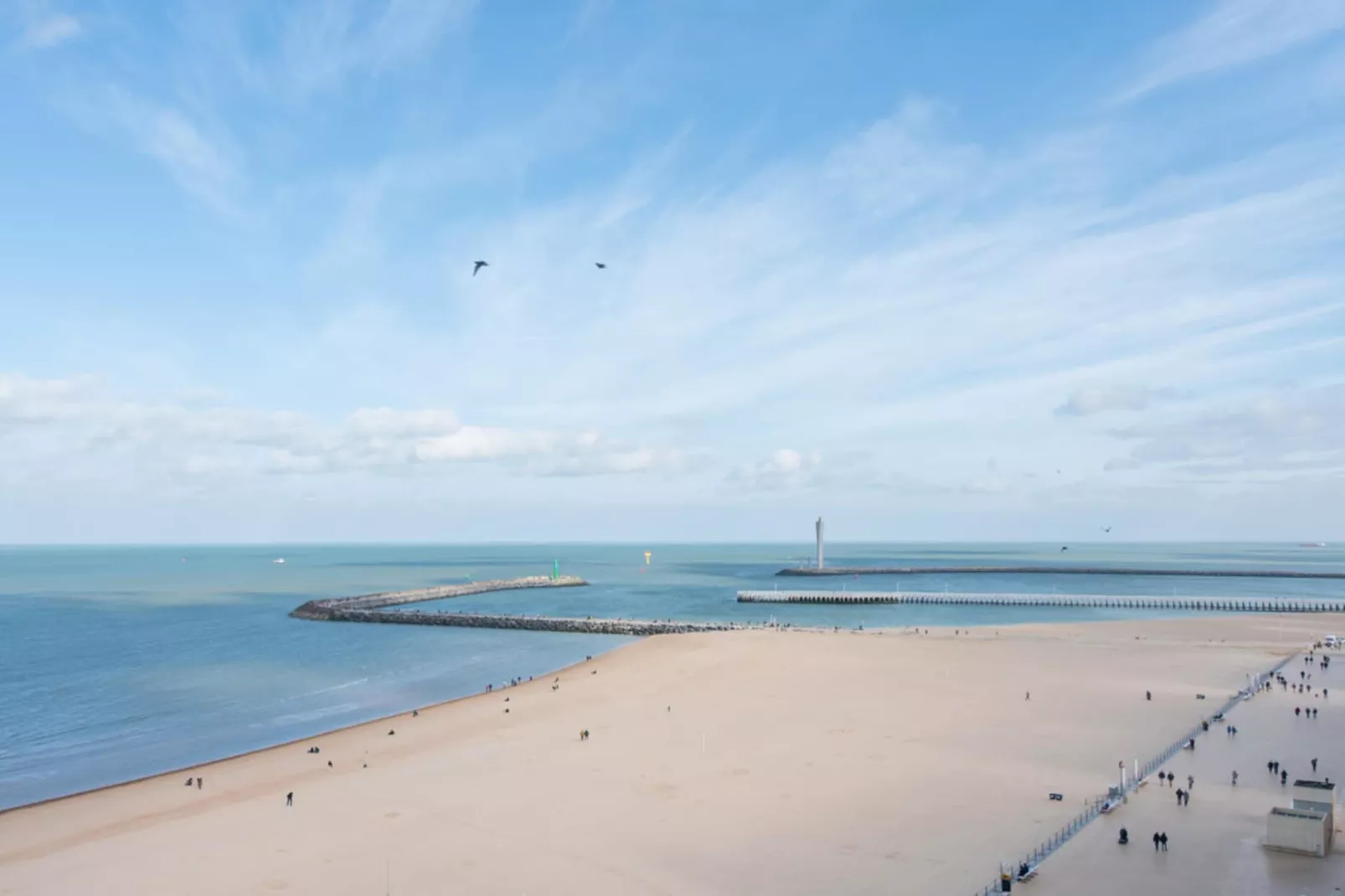 Angleterre-Gebieden zomer 1km