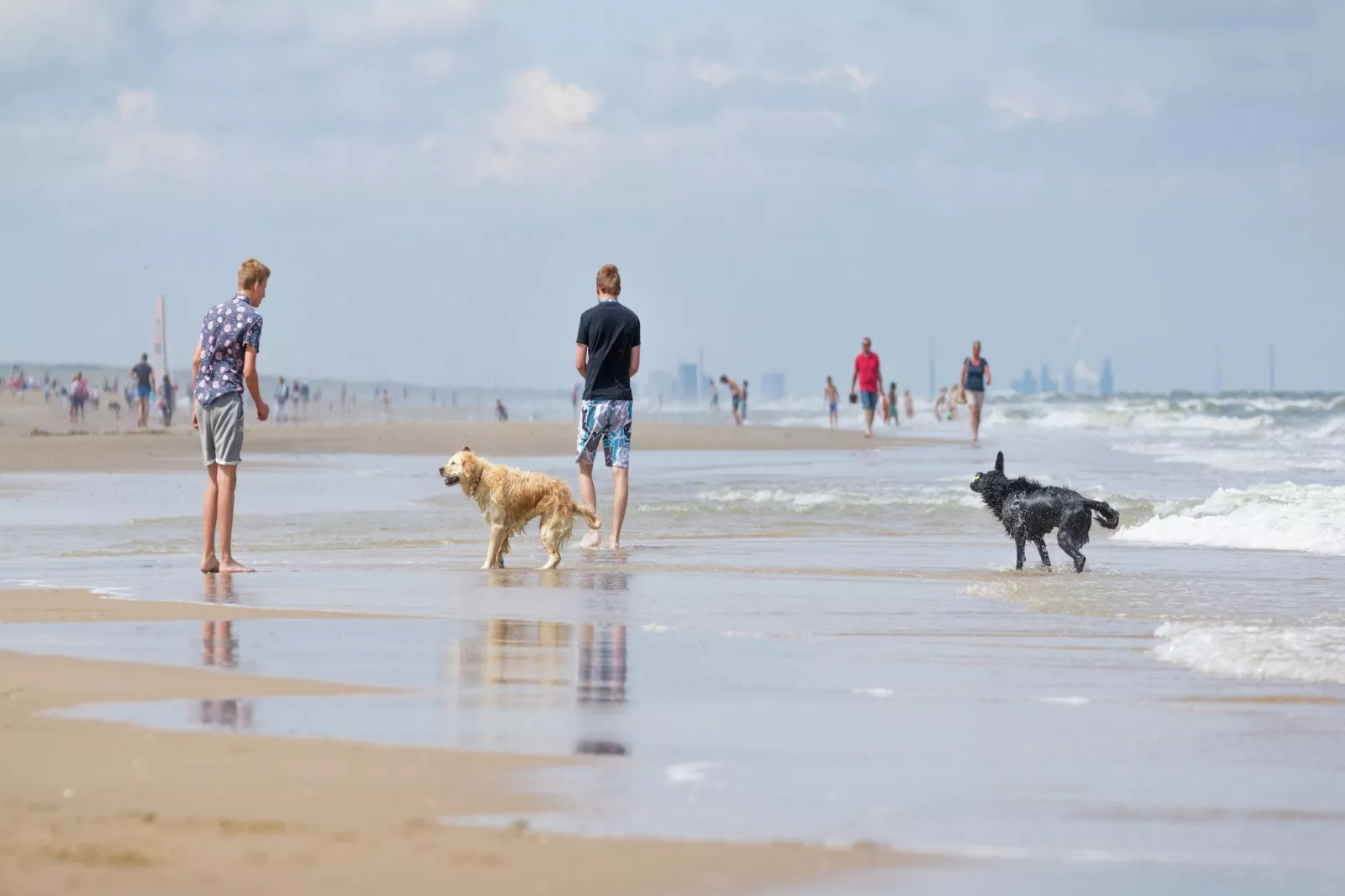 De Raaf van Noordwijk 3-Gebieden zomer 1km