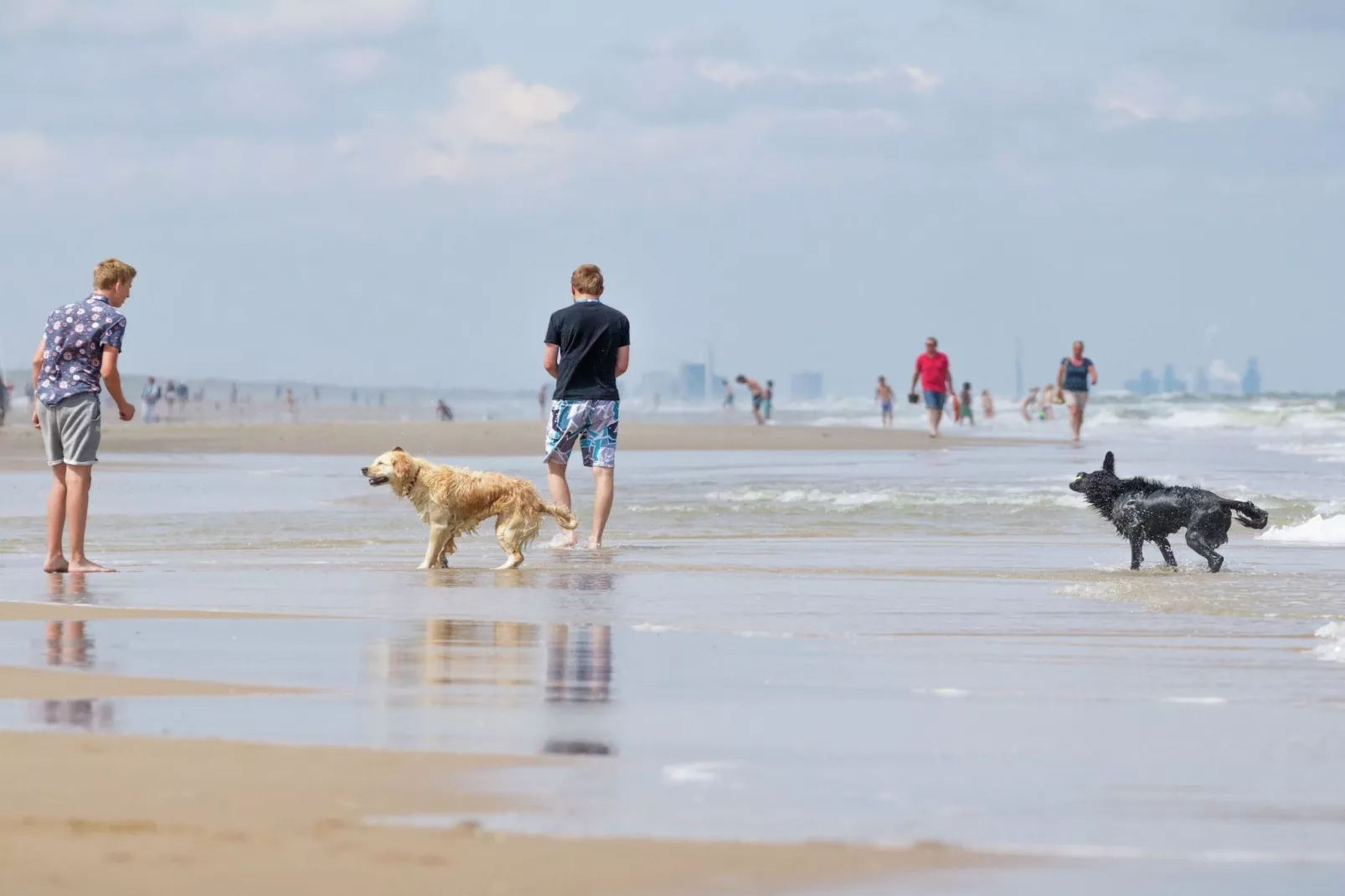 Duyndomein Noordwijk 1-Gebieden zomer 1km