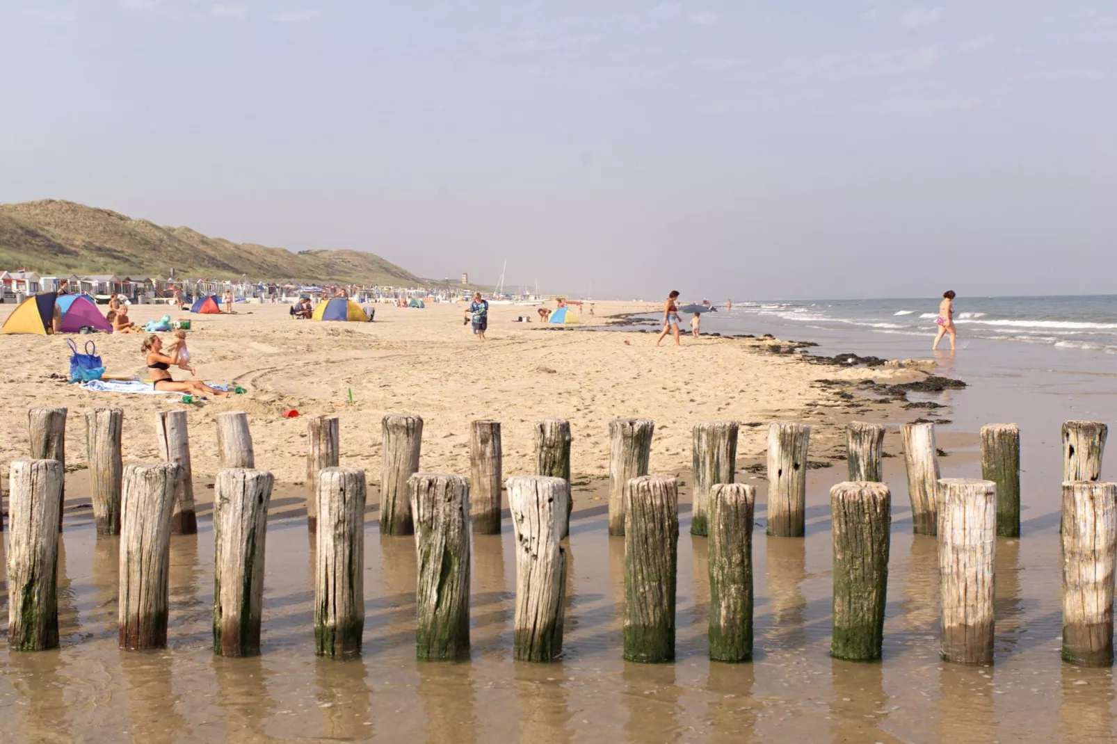 Noordzee Résidence Dishoek 13-Gebieden zomer 1km