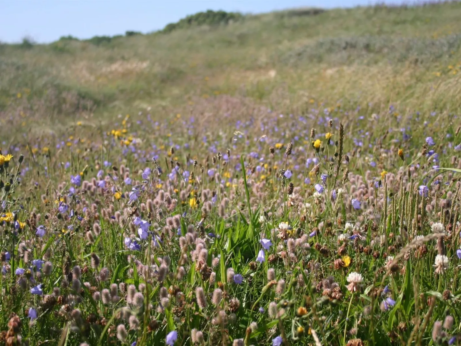 "Gisa" - 400m from the sea-Buiten