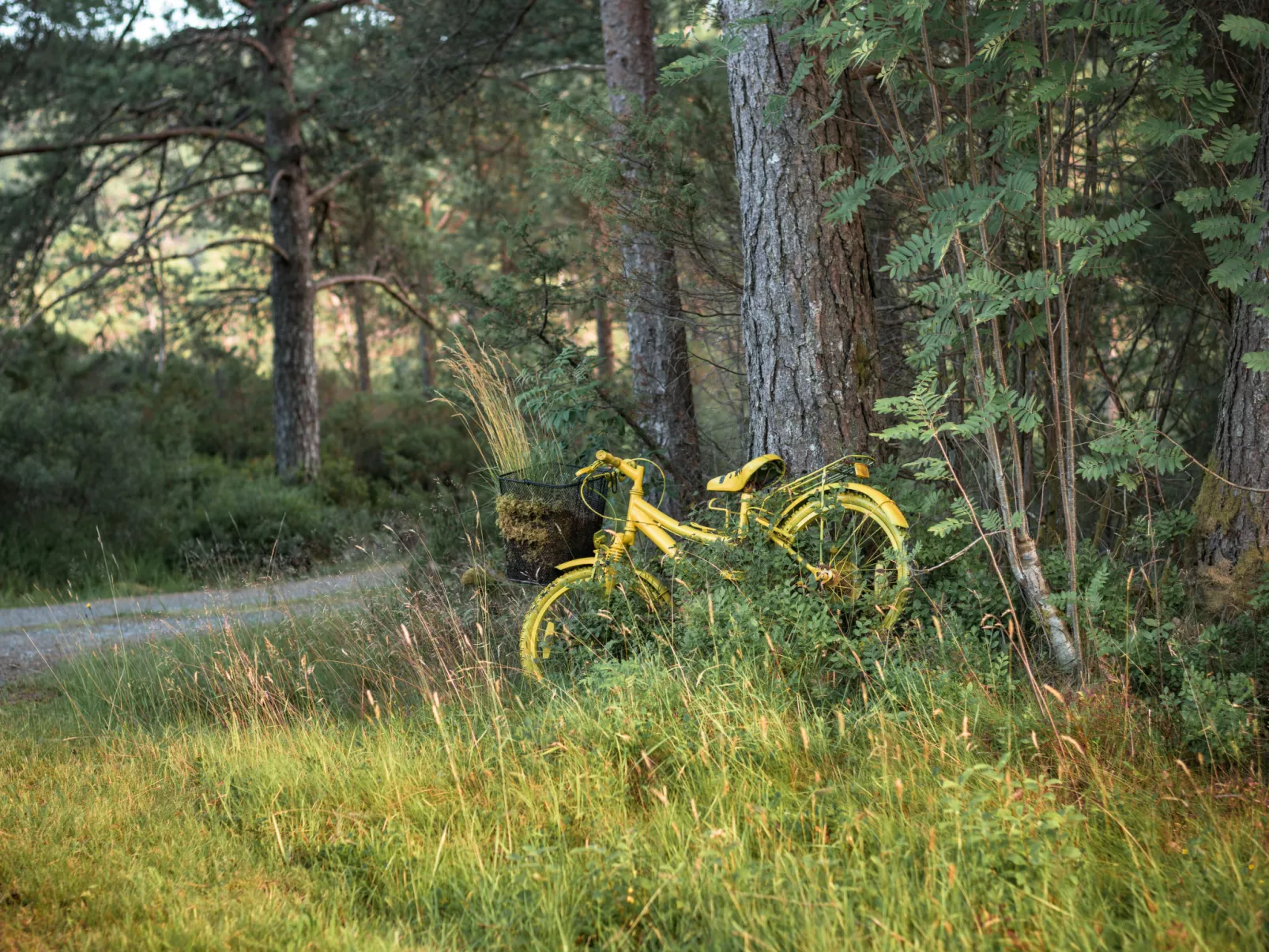 Synnøve-Buiten