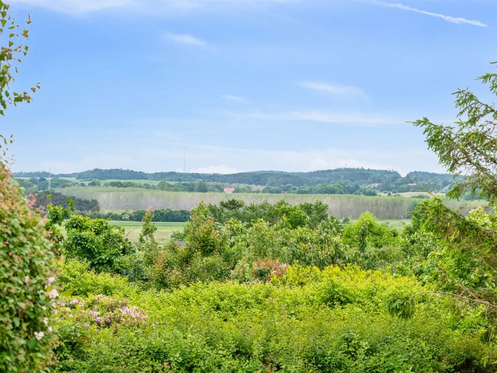 "Lauha" - 400m from the sea-Buiten