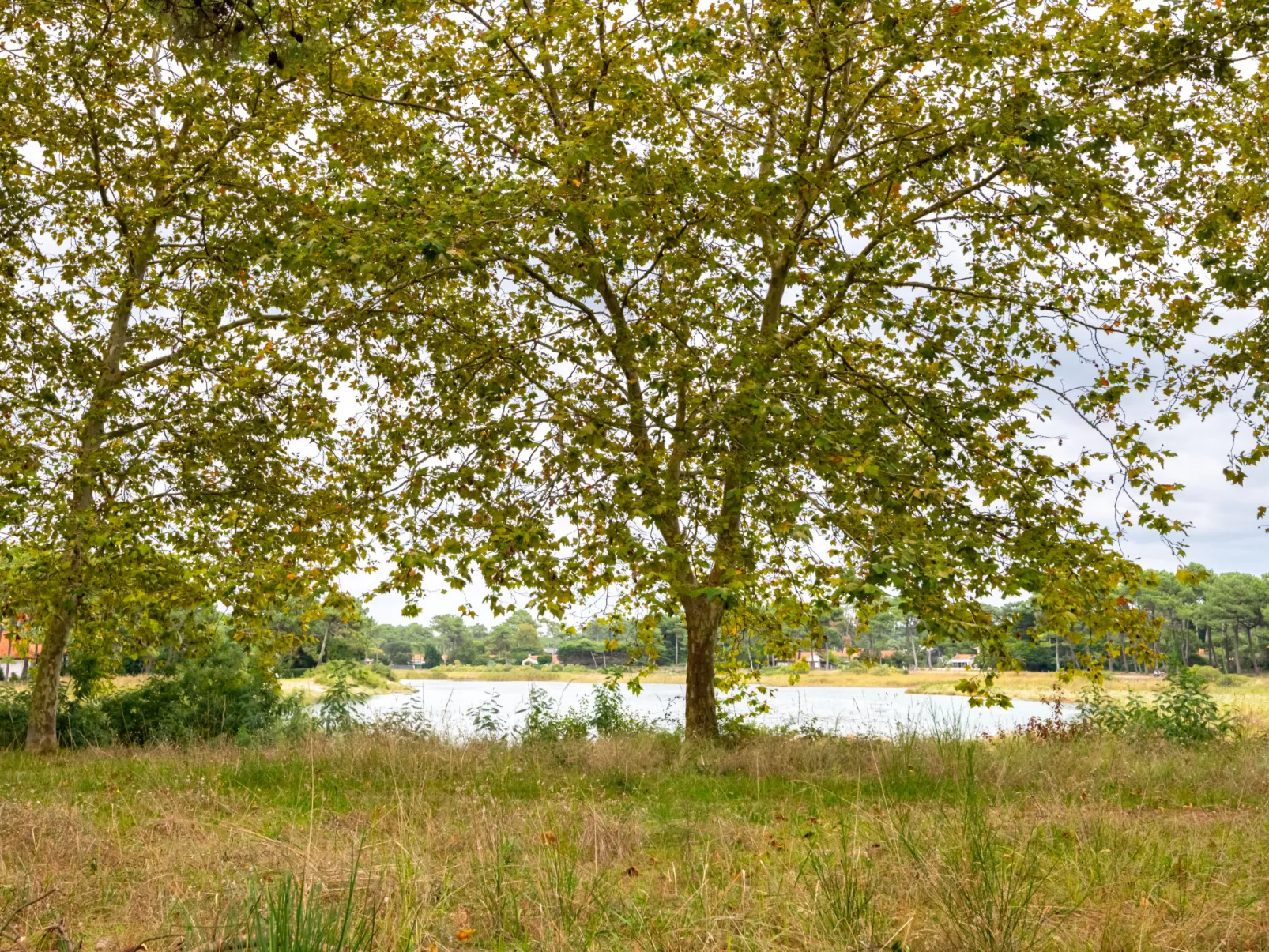 Hameau du courant-Buiten