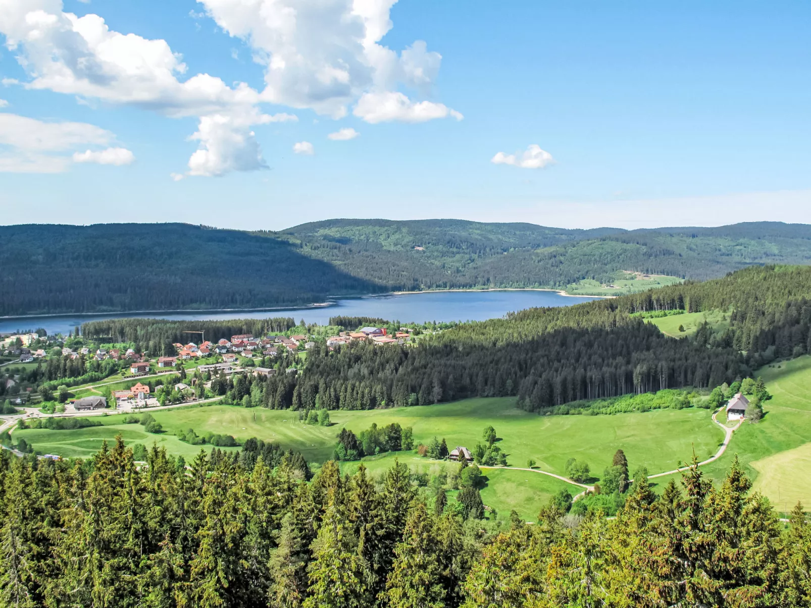 Alpenblick-Omgeving