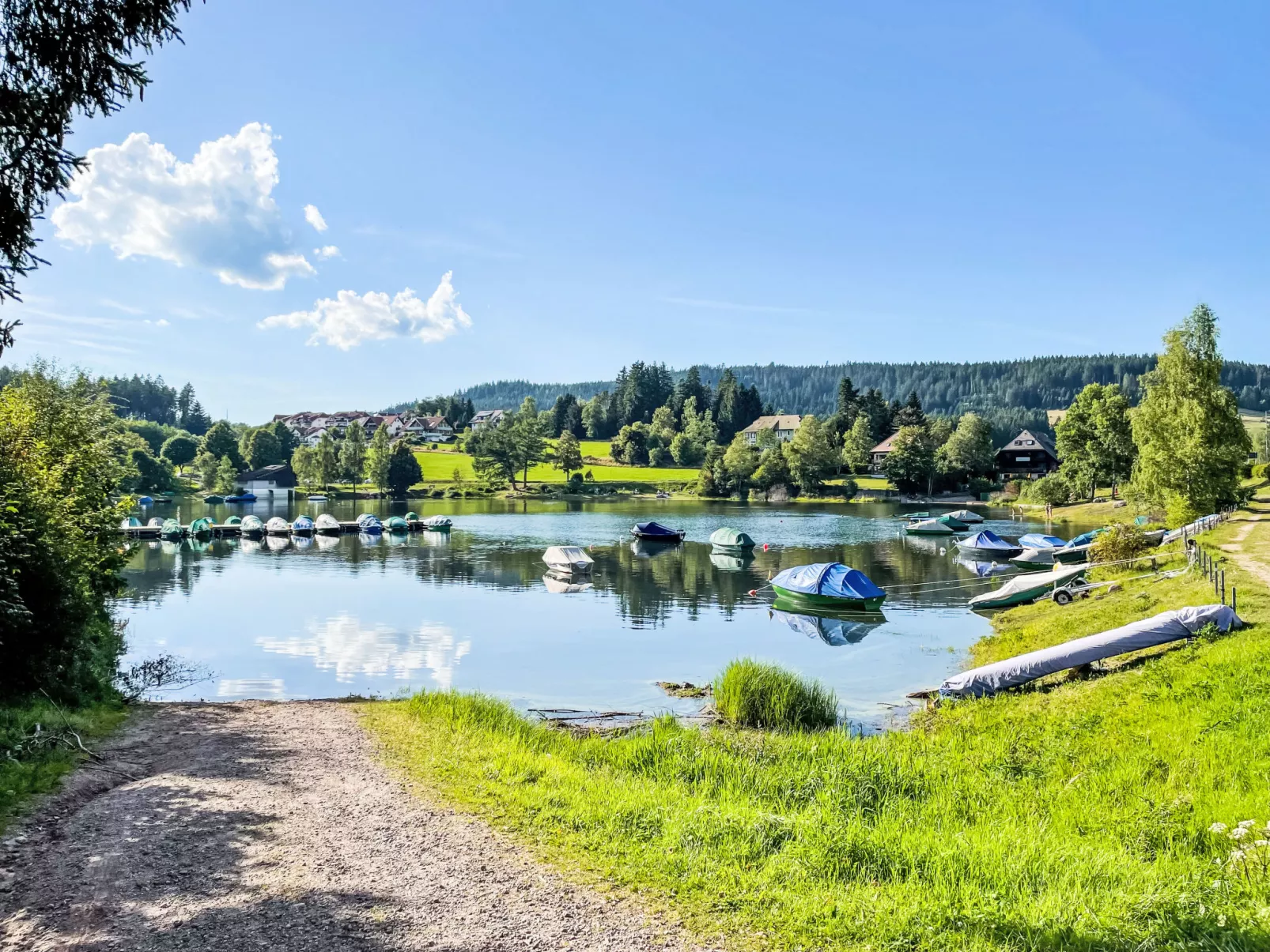 Alpenblick-Omgeving