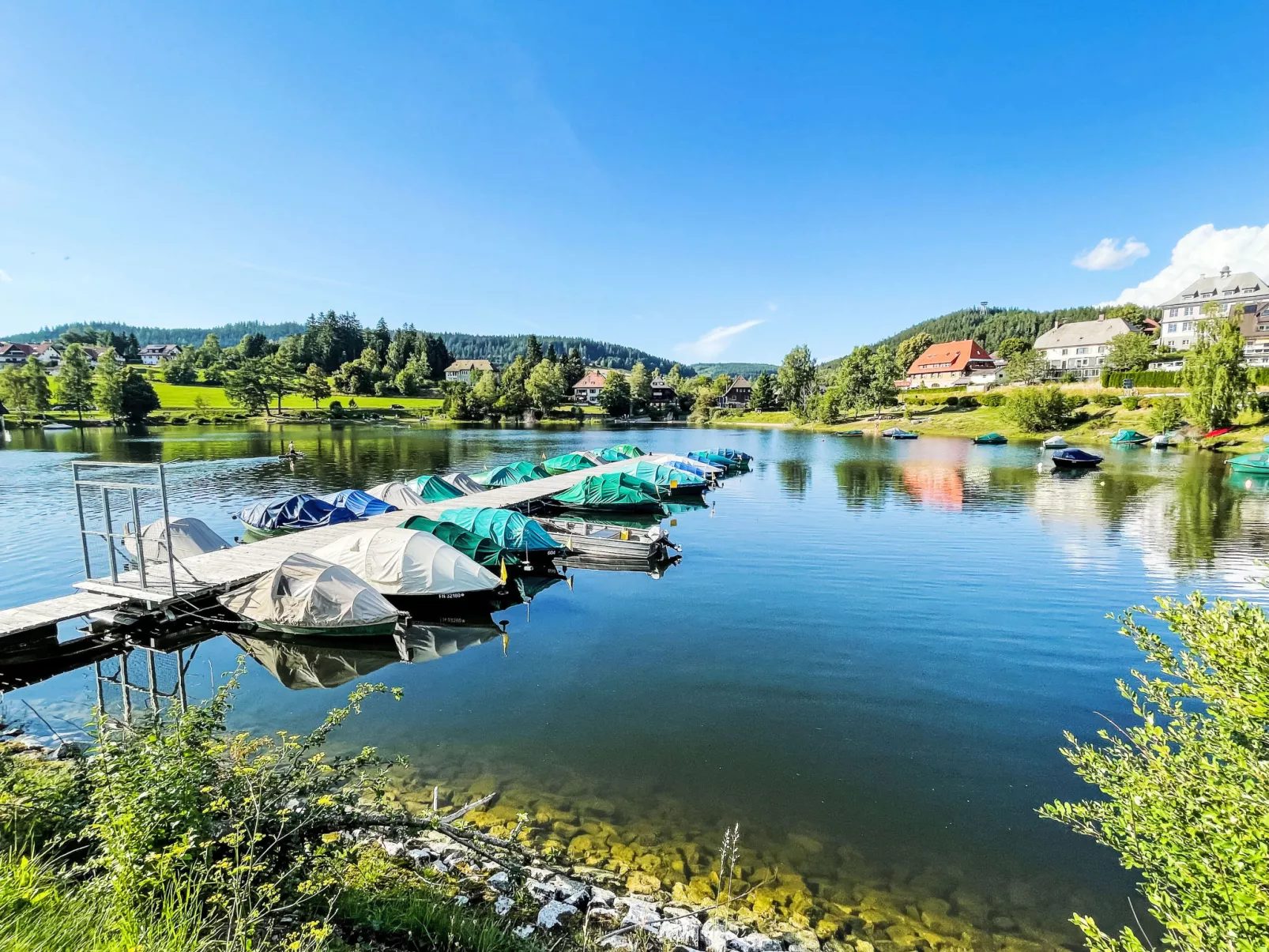 Alpenblick-Omgeving