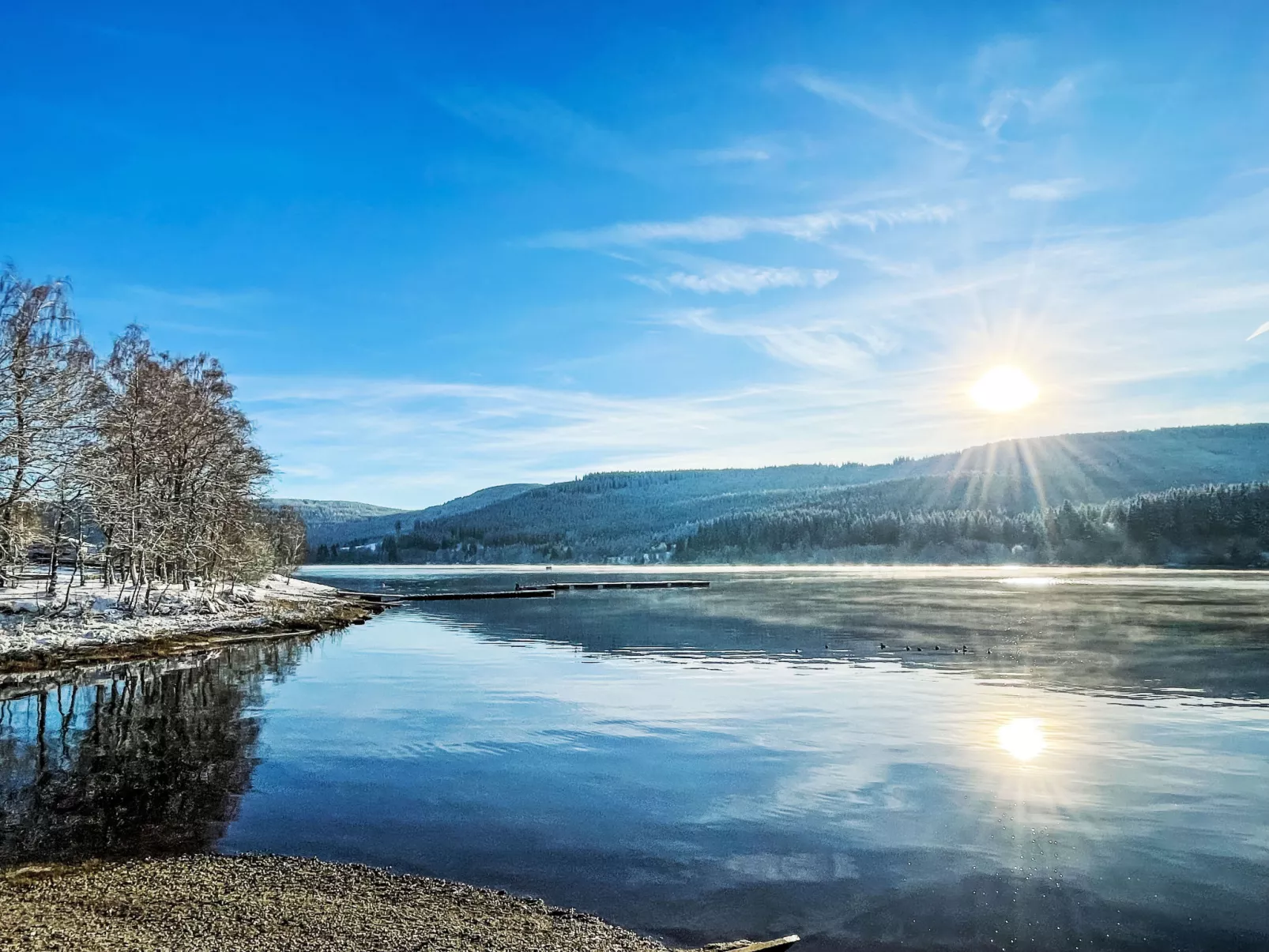 Alpenblick-Omgeving