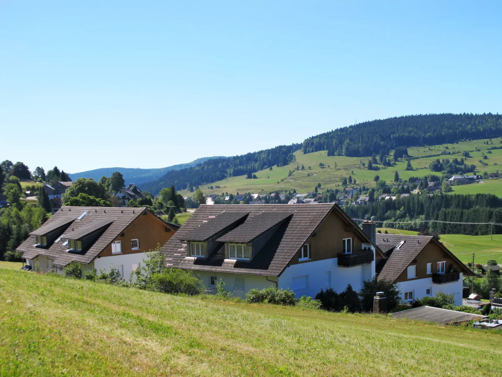 Schwarzwaldblick VI-Buiten