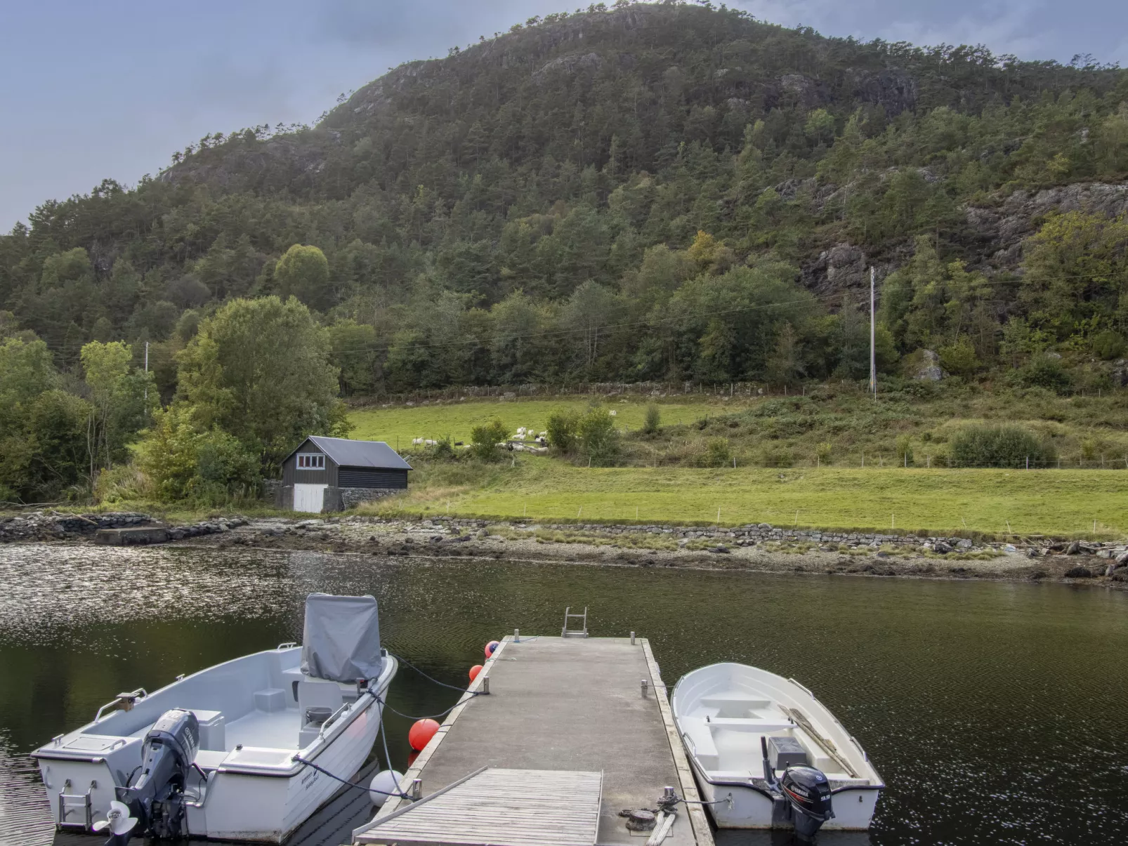 Fjordglytt-Buiten