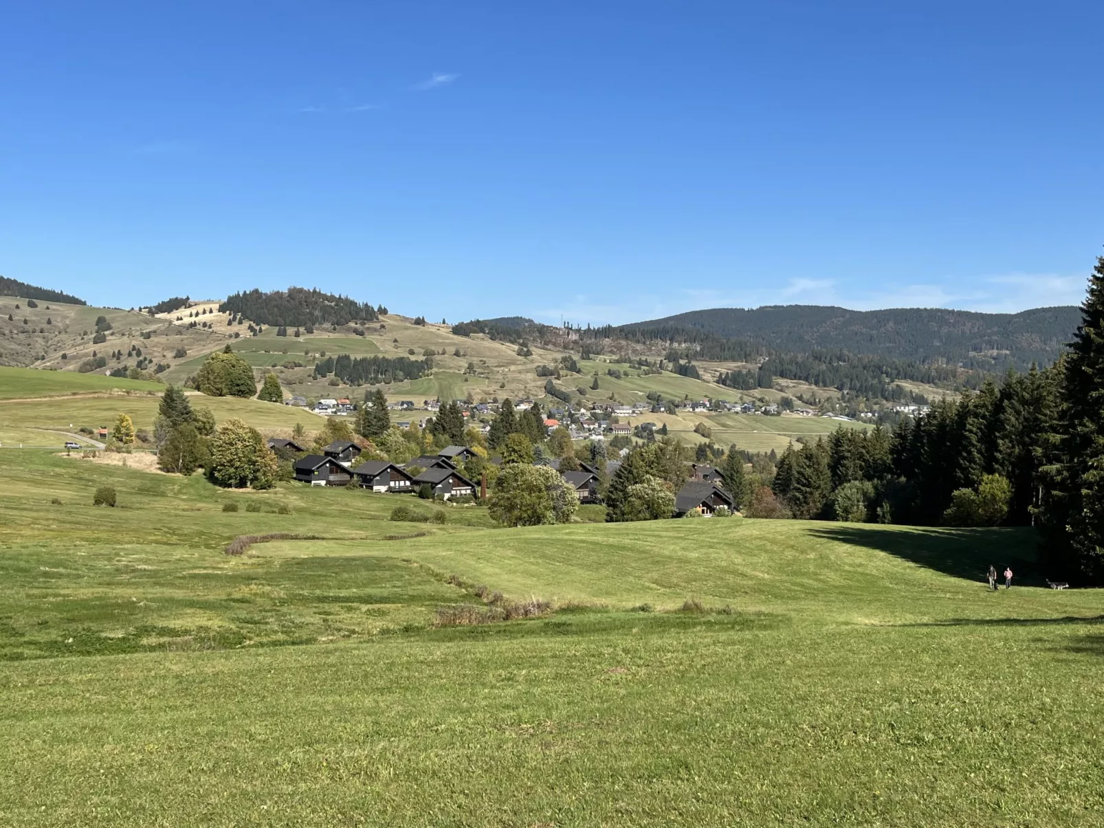 Schwarzwaldblick VI-Omgeving