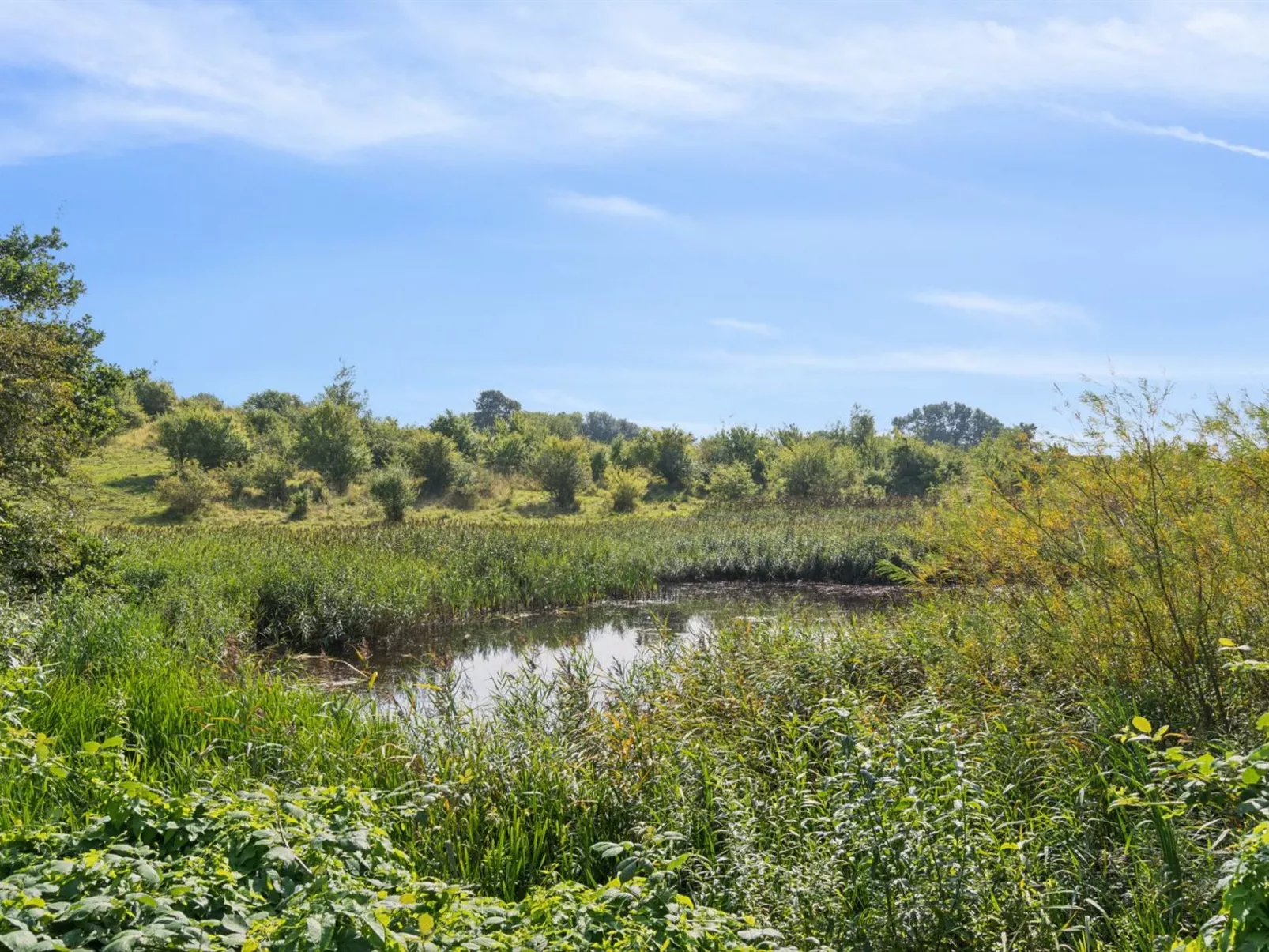 "Guthbrand" - 800m from the sea-Buiten