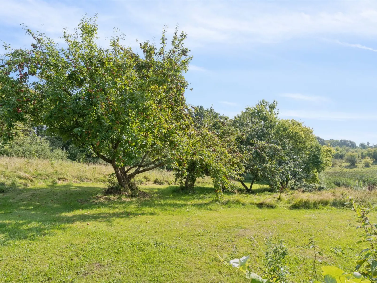 "Guthbrand" - 800m from the sea-Buiten