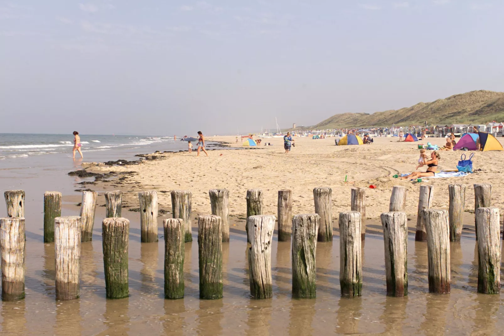 Noordzee Résidence Dishoek 12-Gebieden zomer 1km