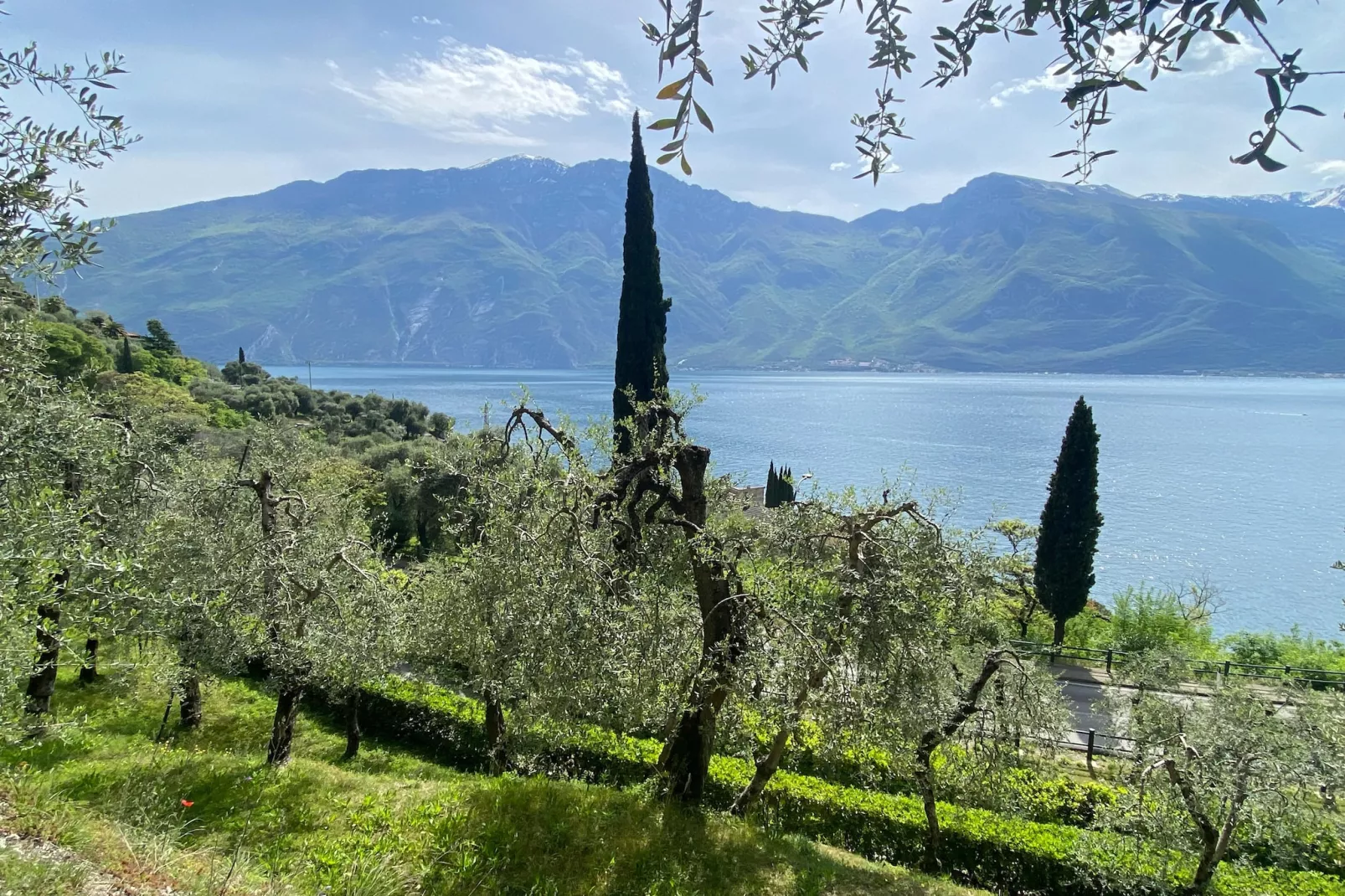 Residence Villa Gianna Limone sul Garda - Trilo Mansarda 4 pax-Uitzicht zomer