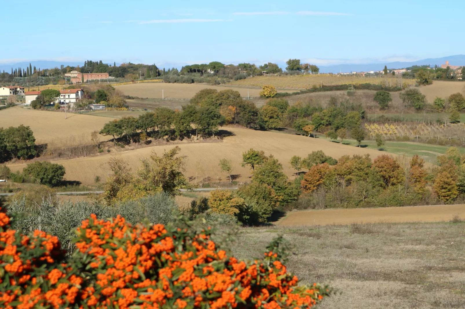 Castagno del Riccio-Sfeer